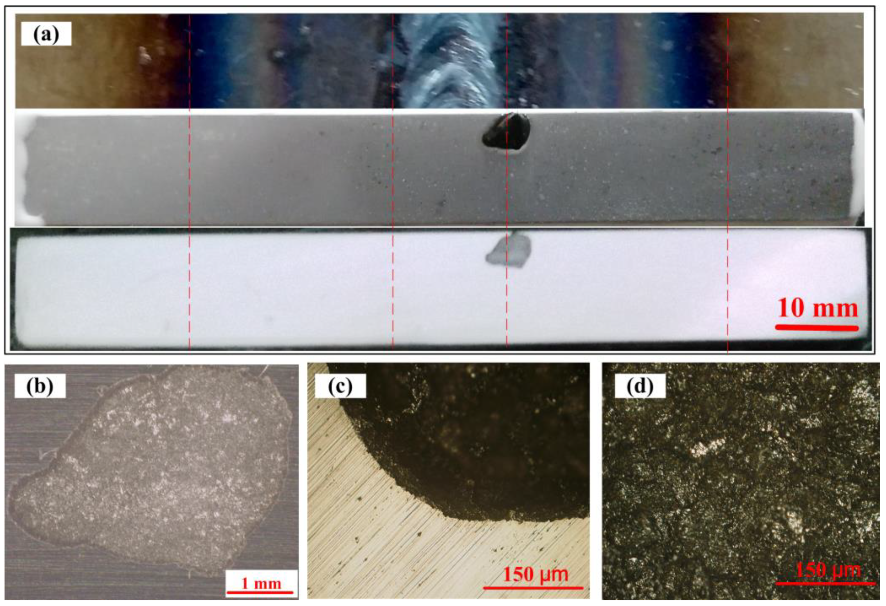 Applsci 11 08278 g007