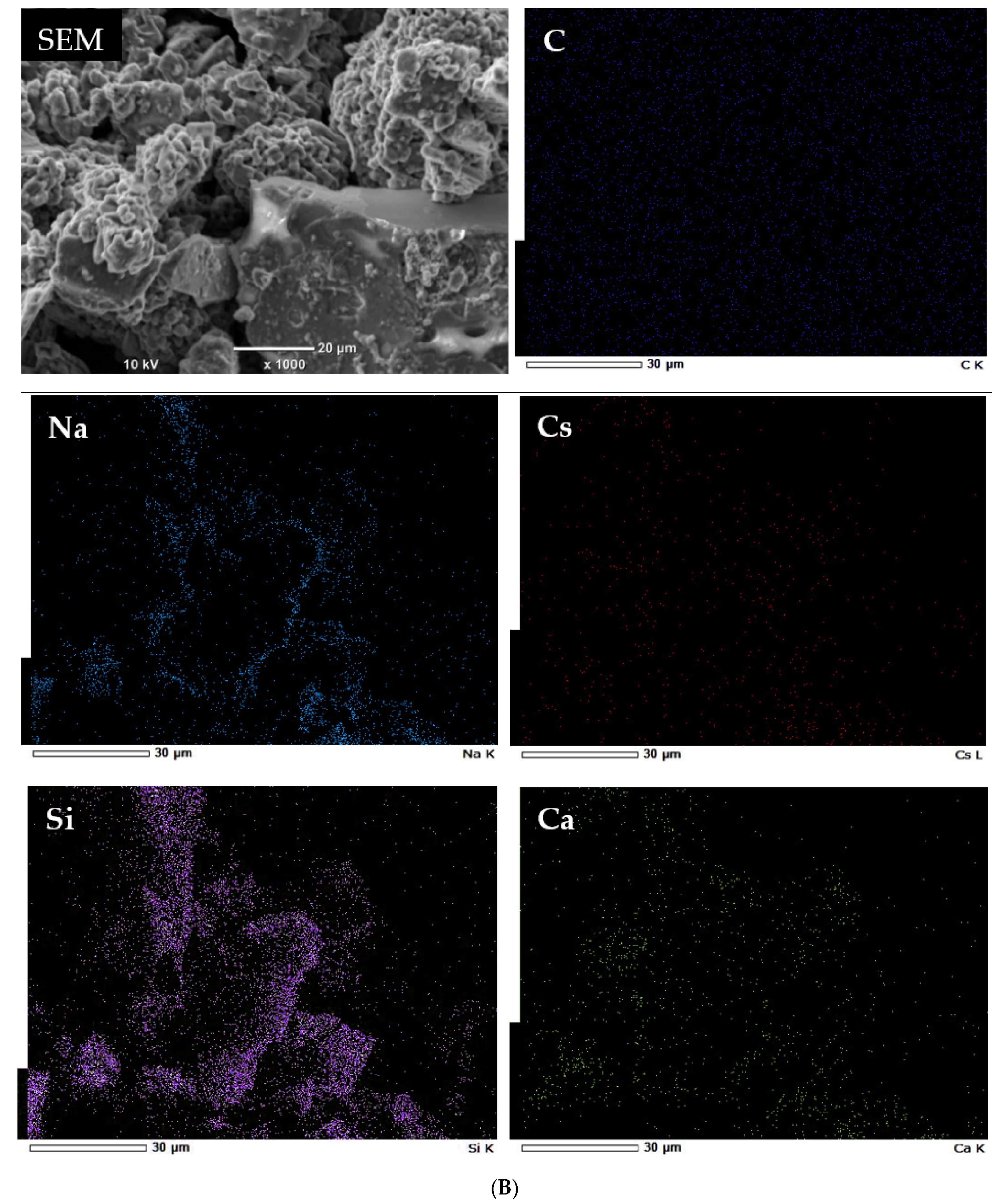 Applsci 11 08407 g005b