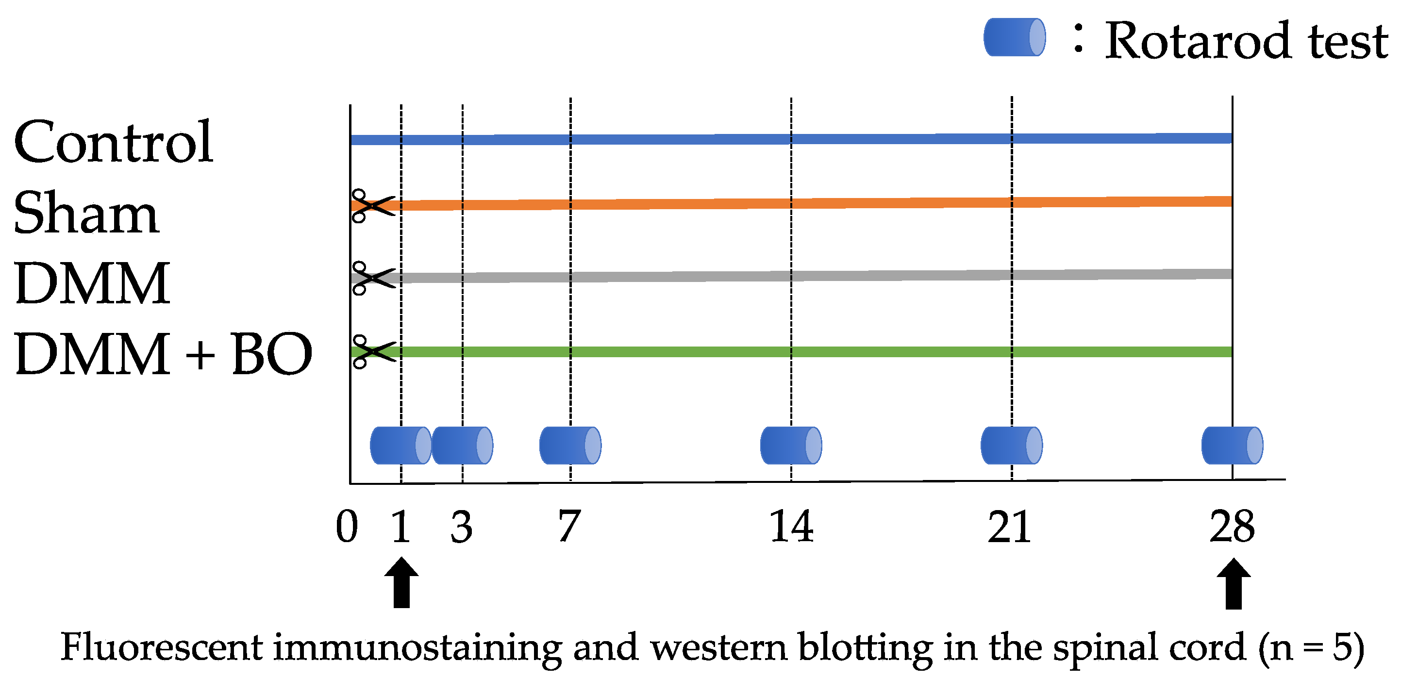 Applsci 11 08421 g001