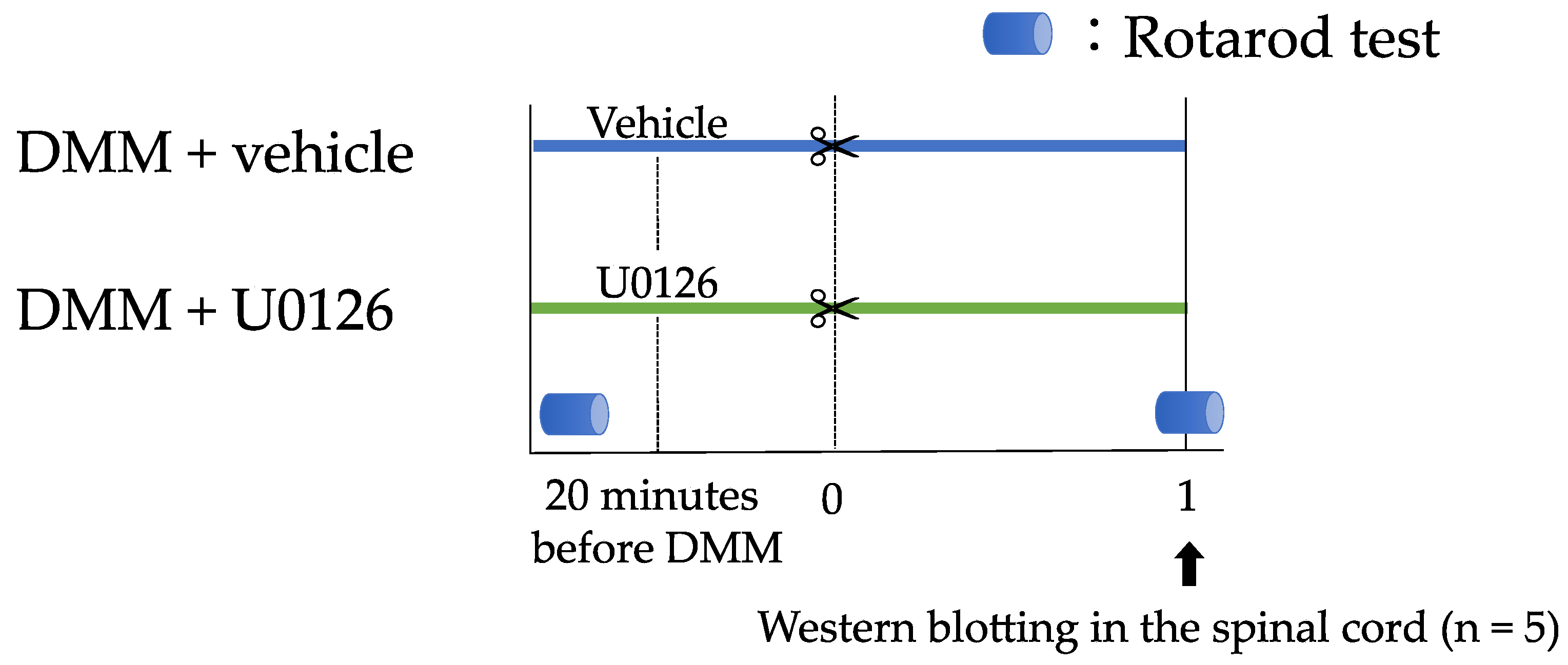 Applsci 11 08421 g002