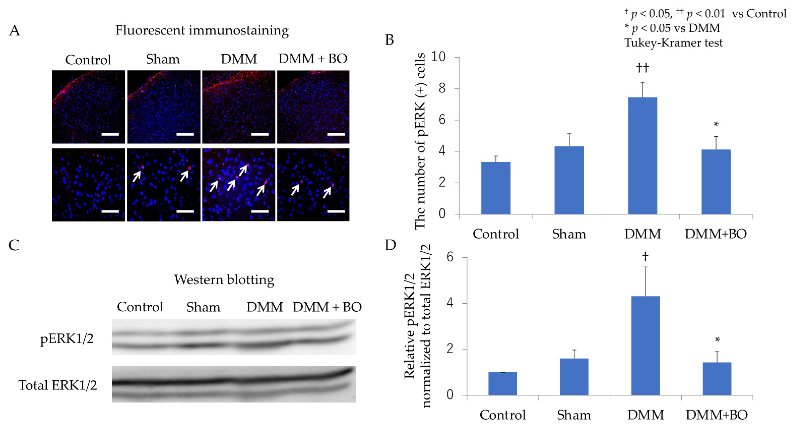 Applsci 11 08421 g004