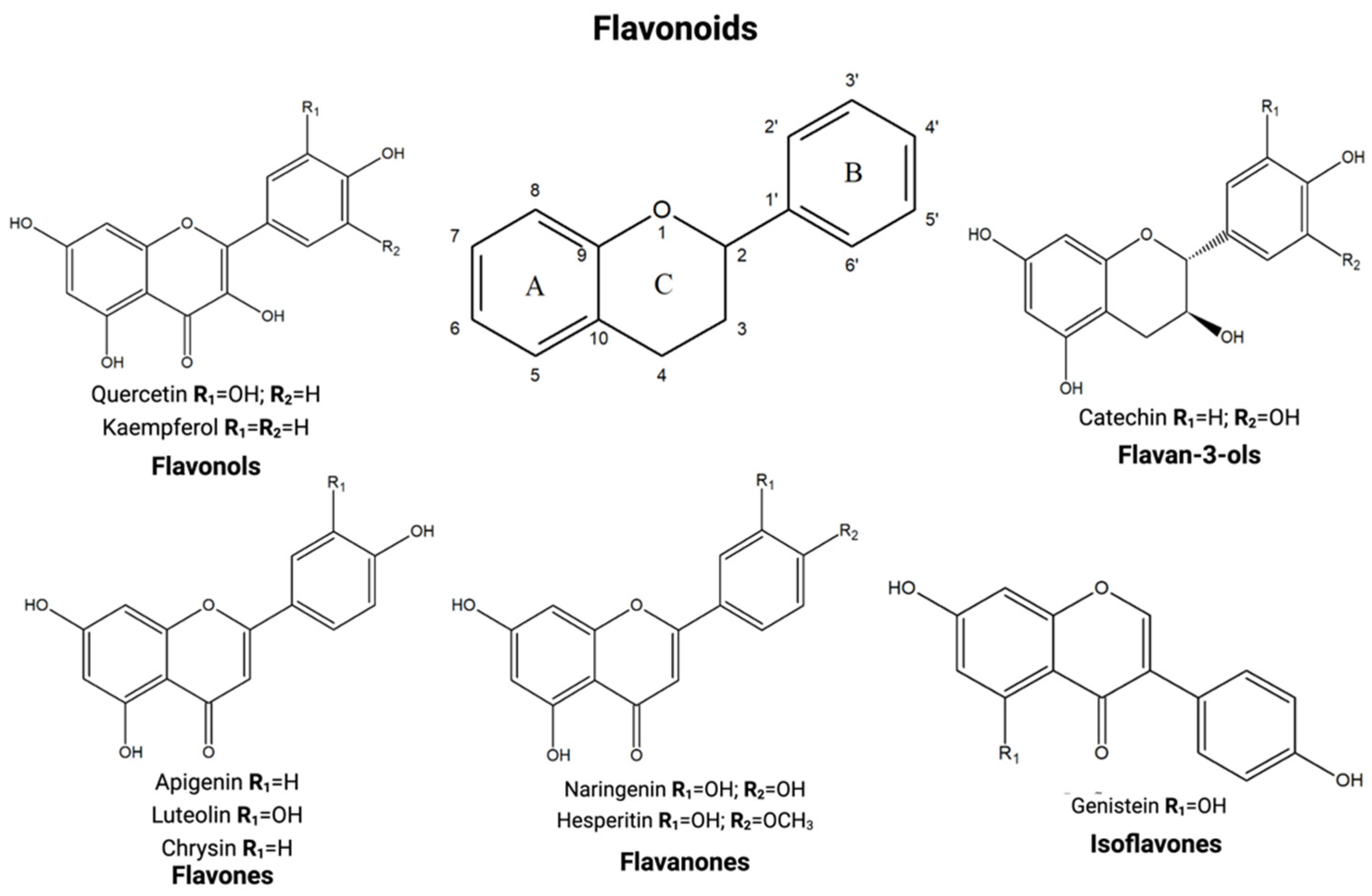 Applsci 11 08516 g003