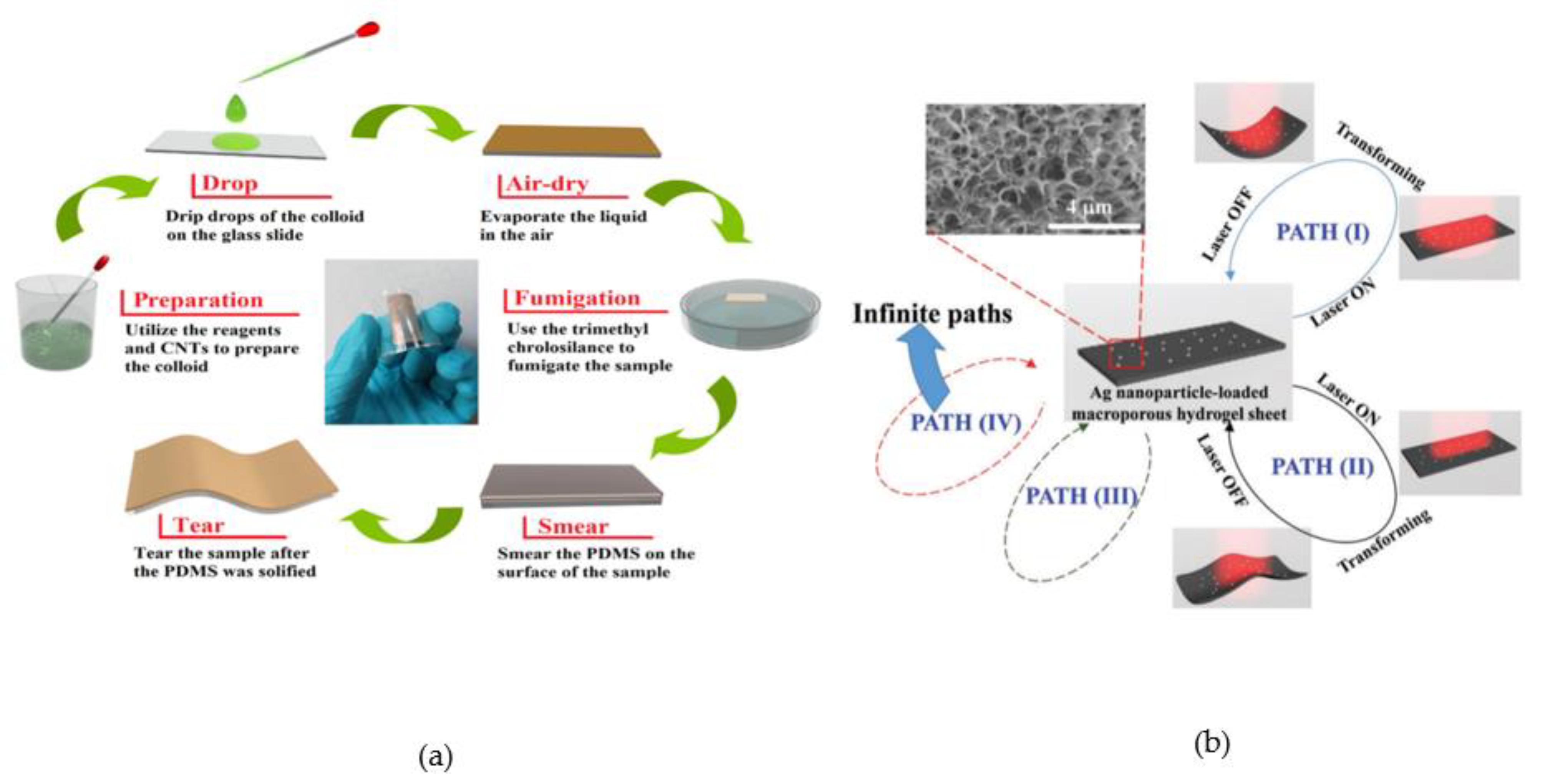 Applsci 11 08563 g006