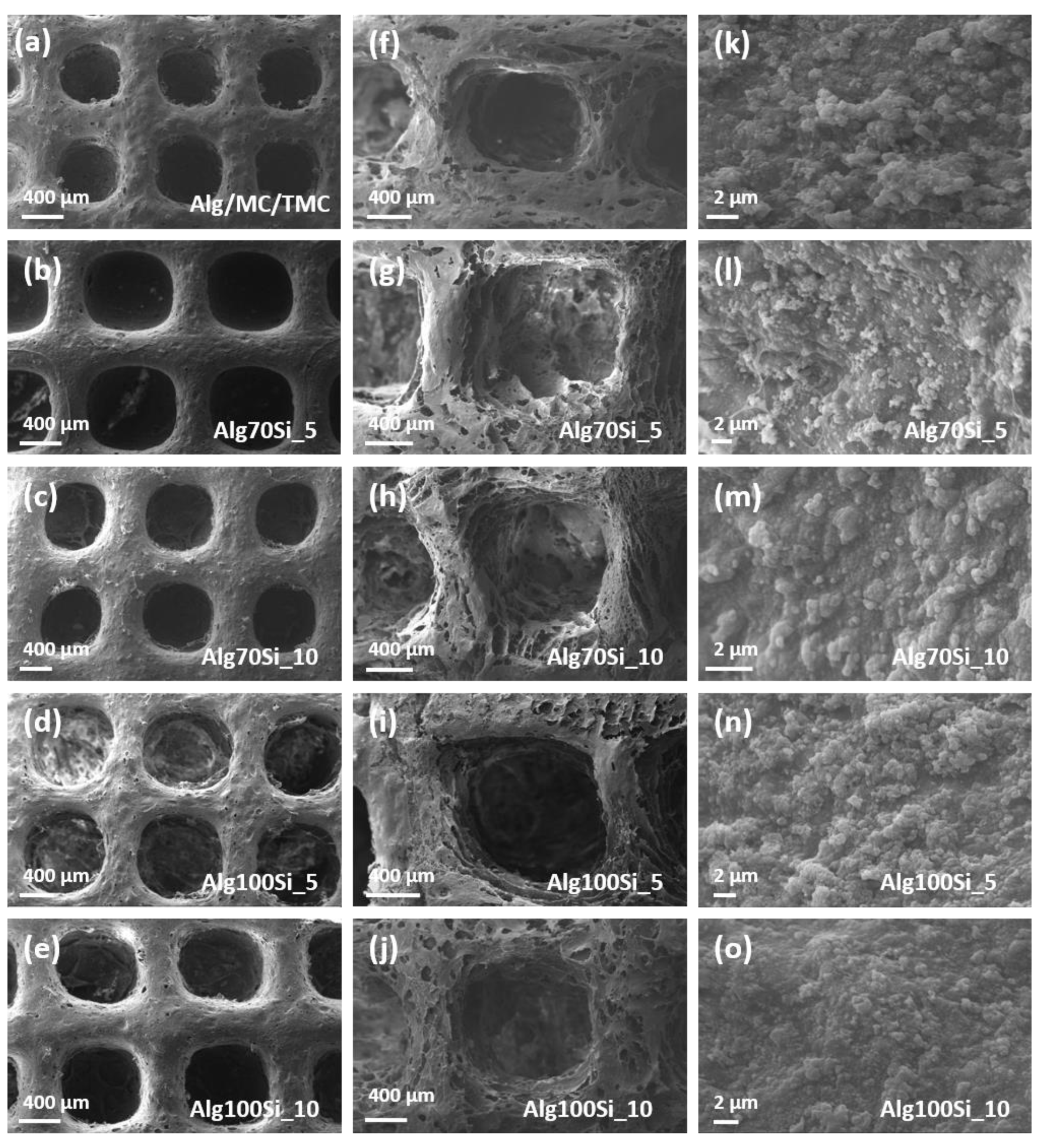 Applsci 11 08677 g006