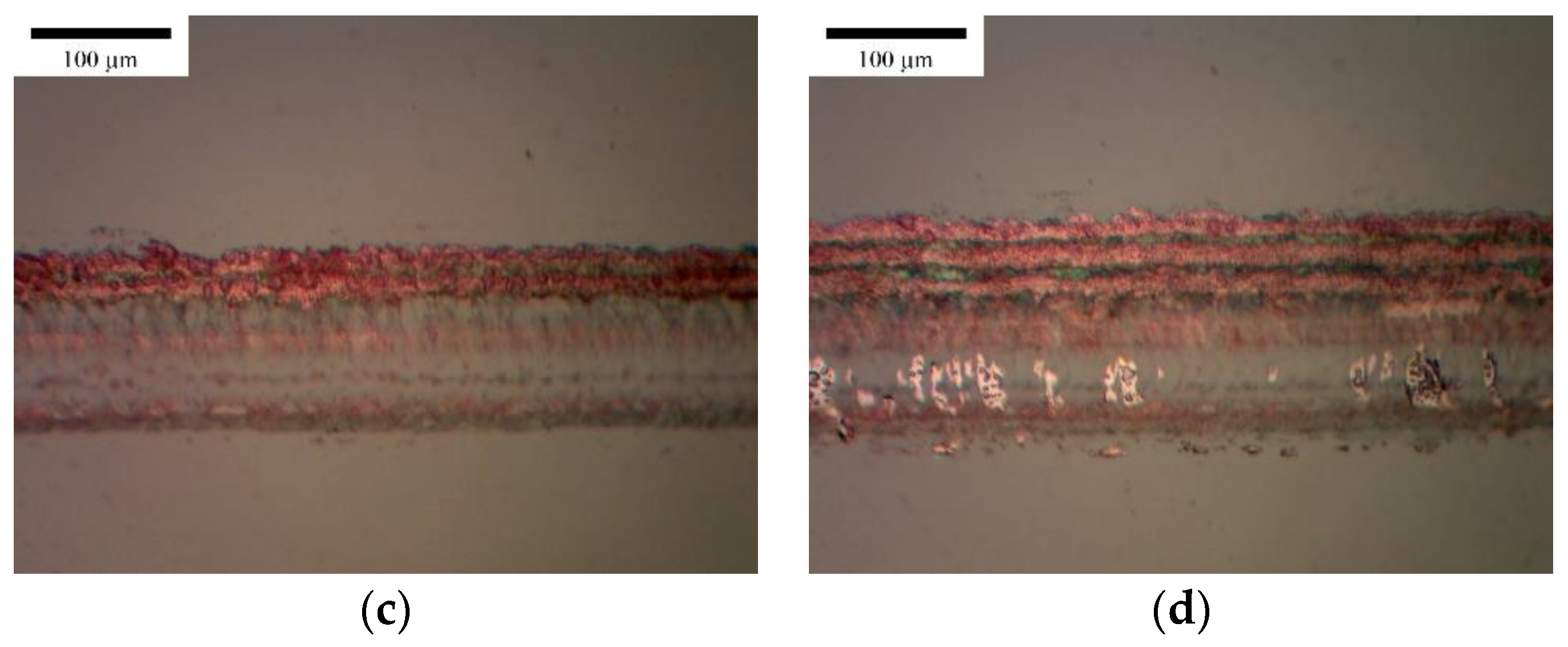 Applsci 11 08695 g003b