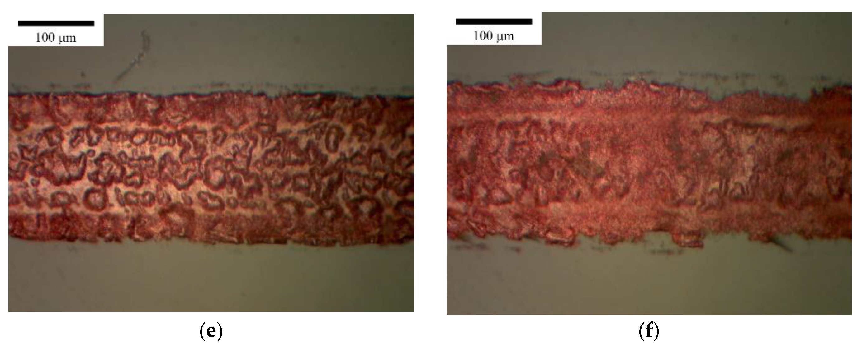 Applsci 11 08695 g004b