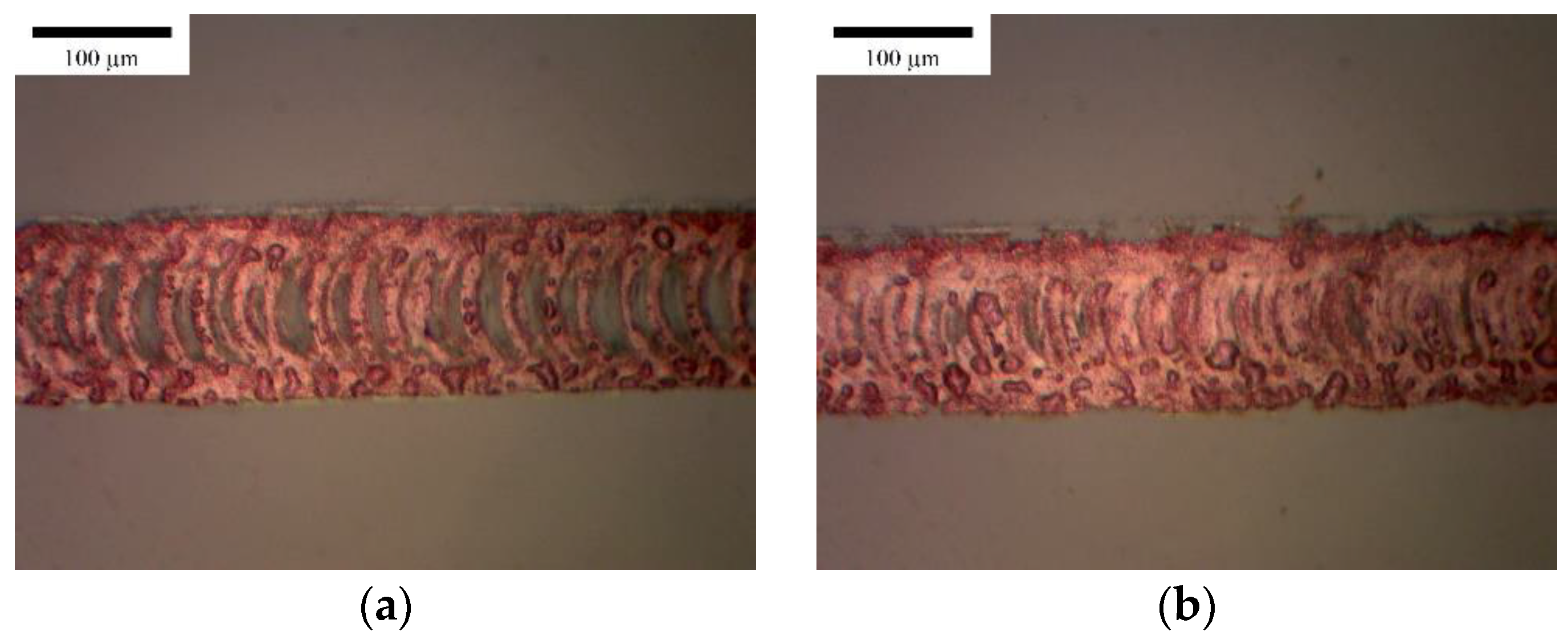 Applsci 11 08695 g009