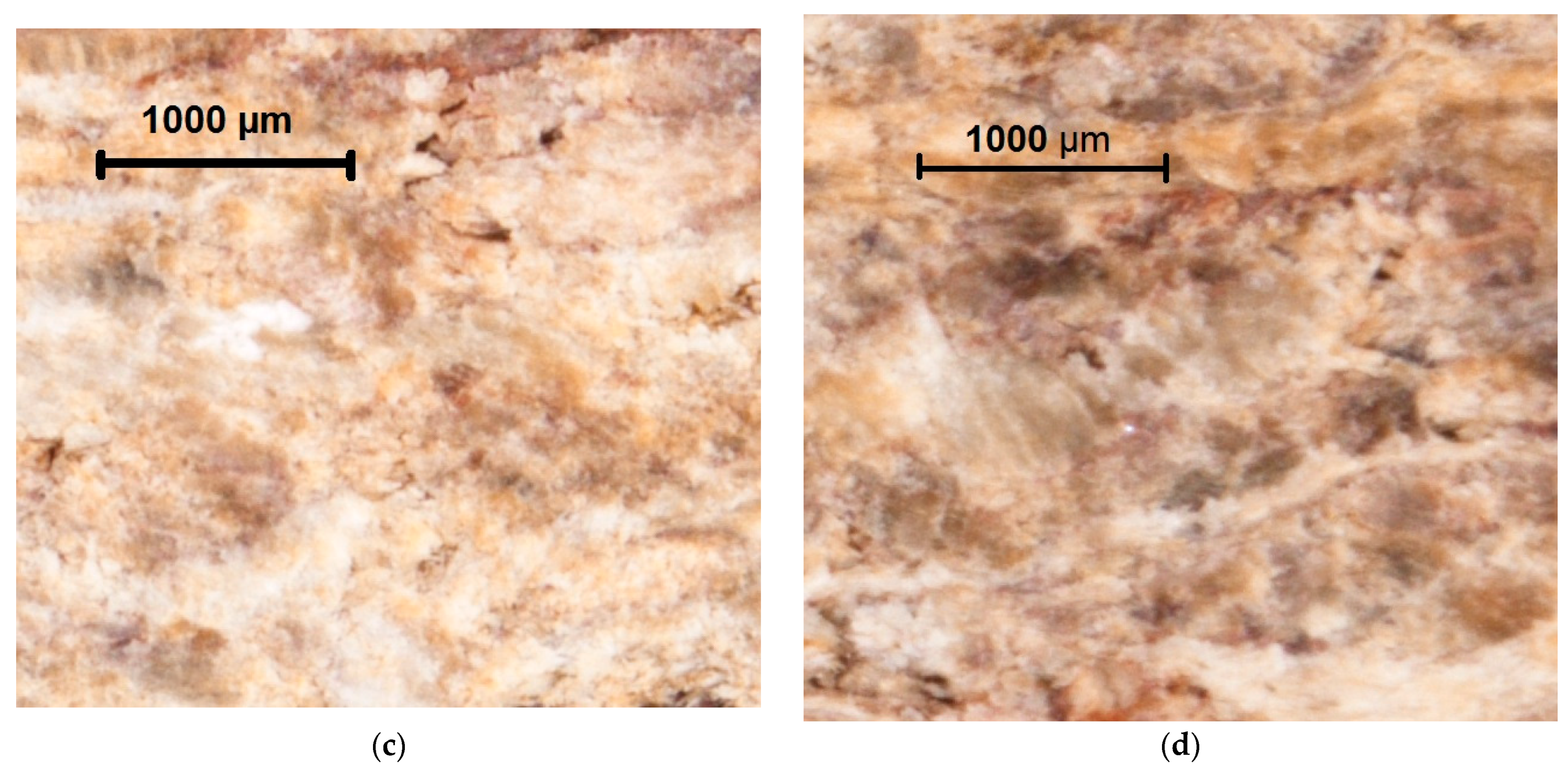 Applsci 11 08720 g004b