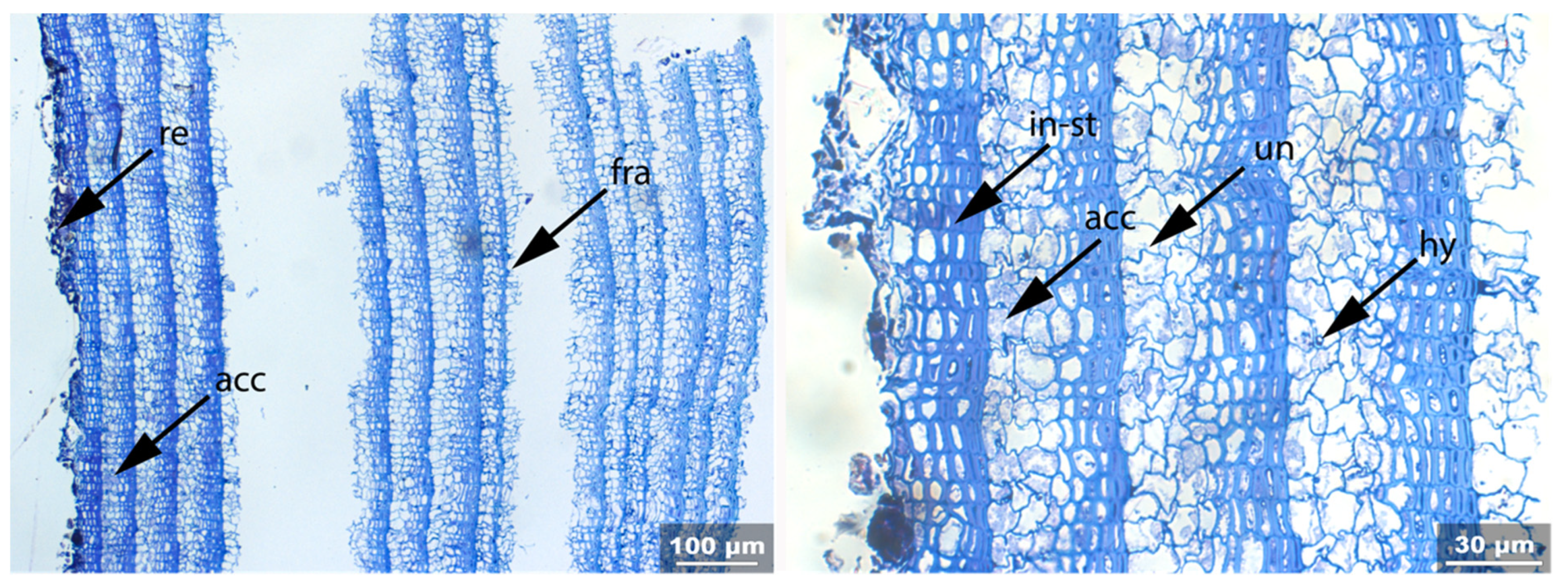 Applsci 11 08721 g027
