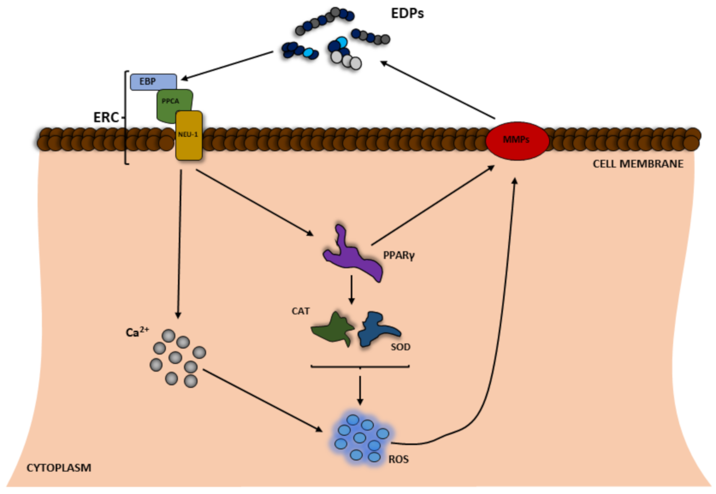 Applsci 11 08732 g002