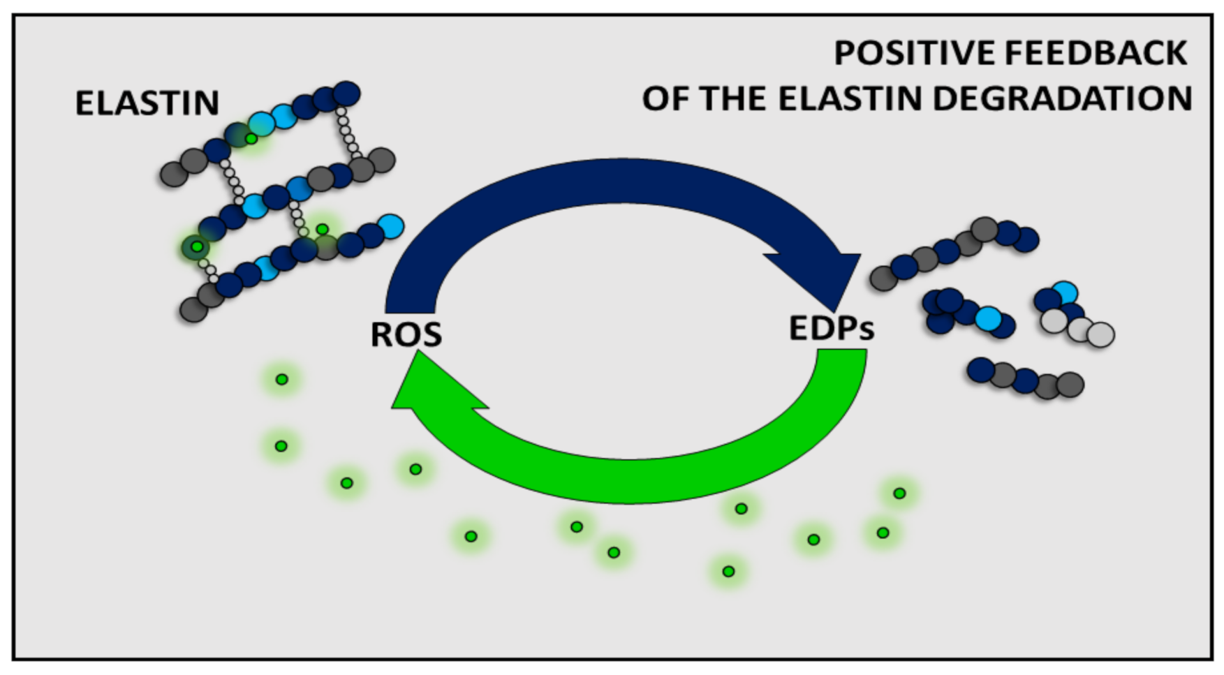 Applsci 11 08732 g003
