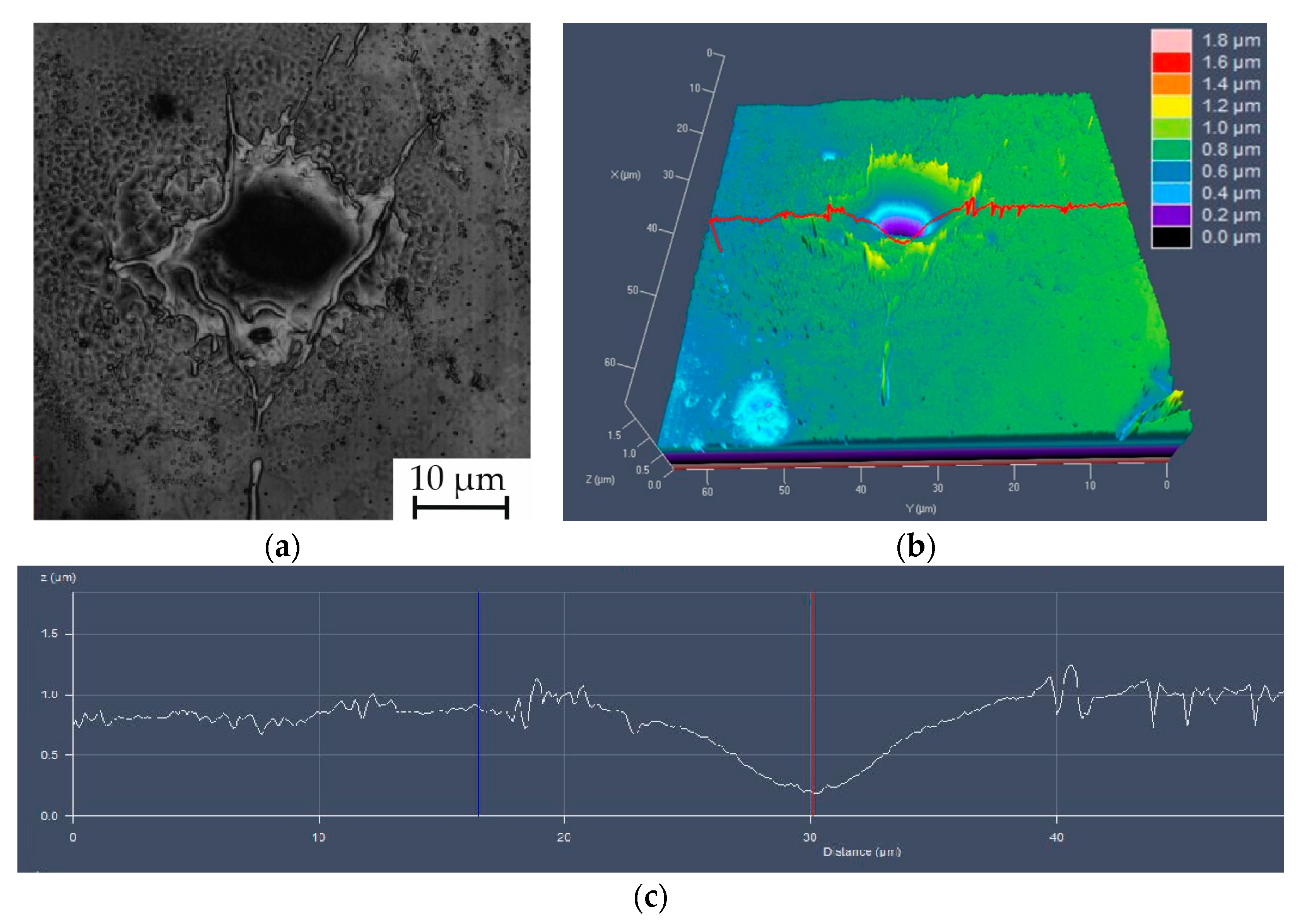 Applsci 11 08755 g005
