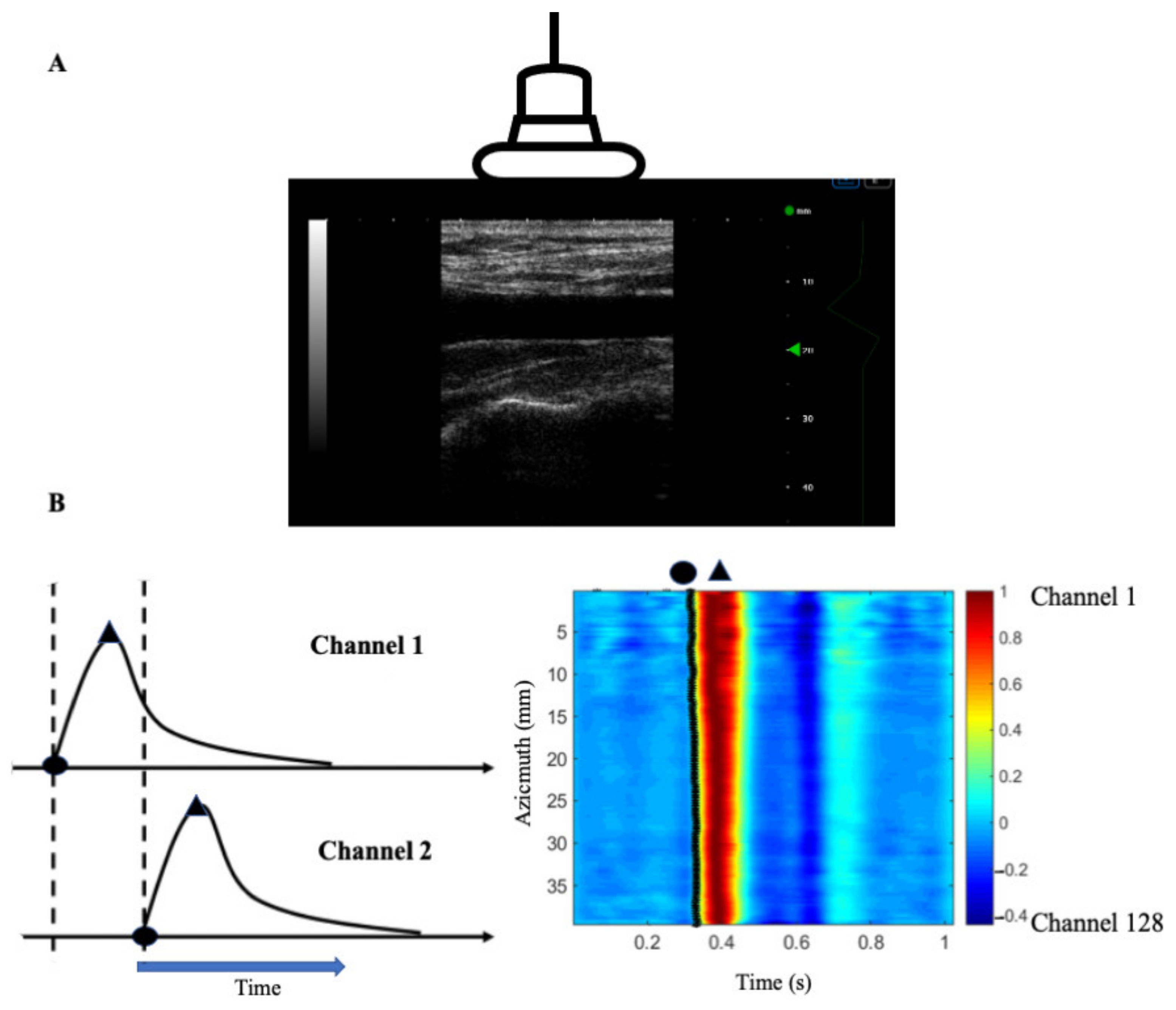 Applsci 11 08783 g002