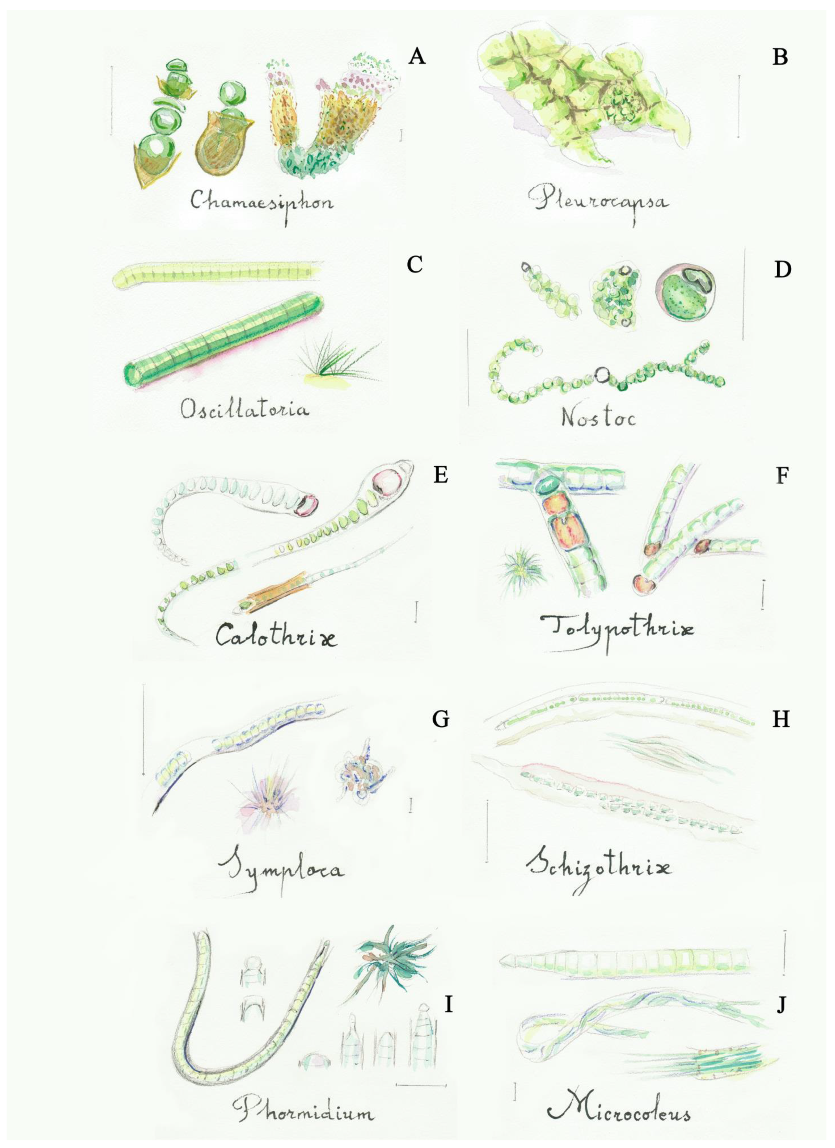 Applsci 11 08787 g002 Applsci 11 08787 g002