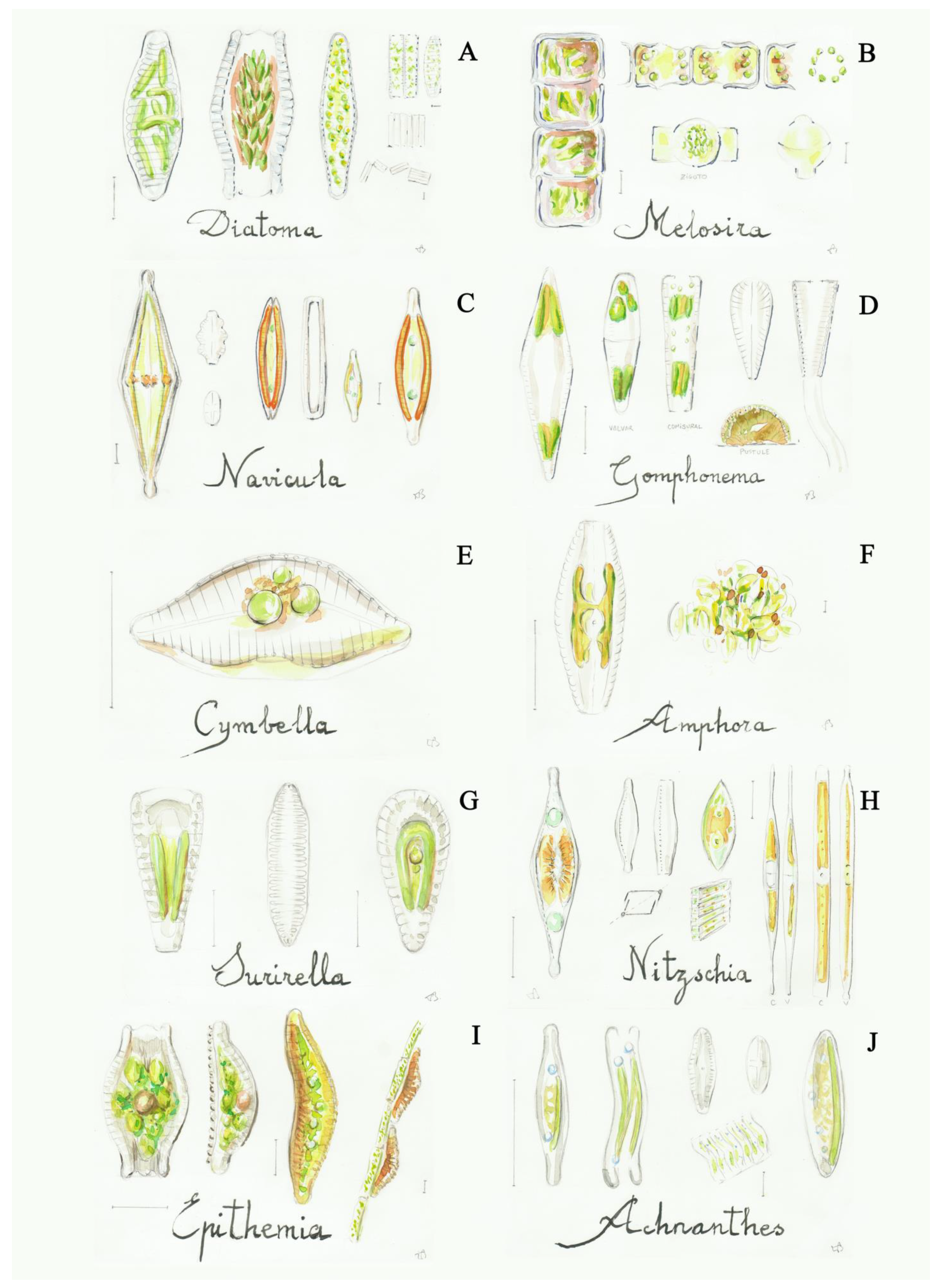 Applsci 11 08787 g005 Applsci 11 08787 g005