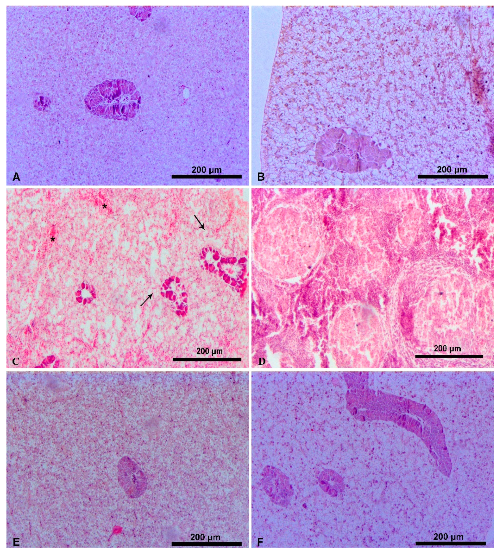 Applsci 11 08806 g002 Applsci 11 08806 g002