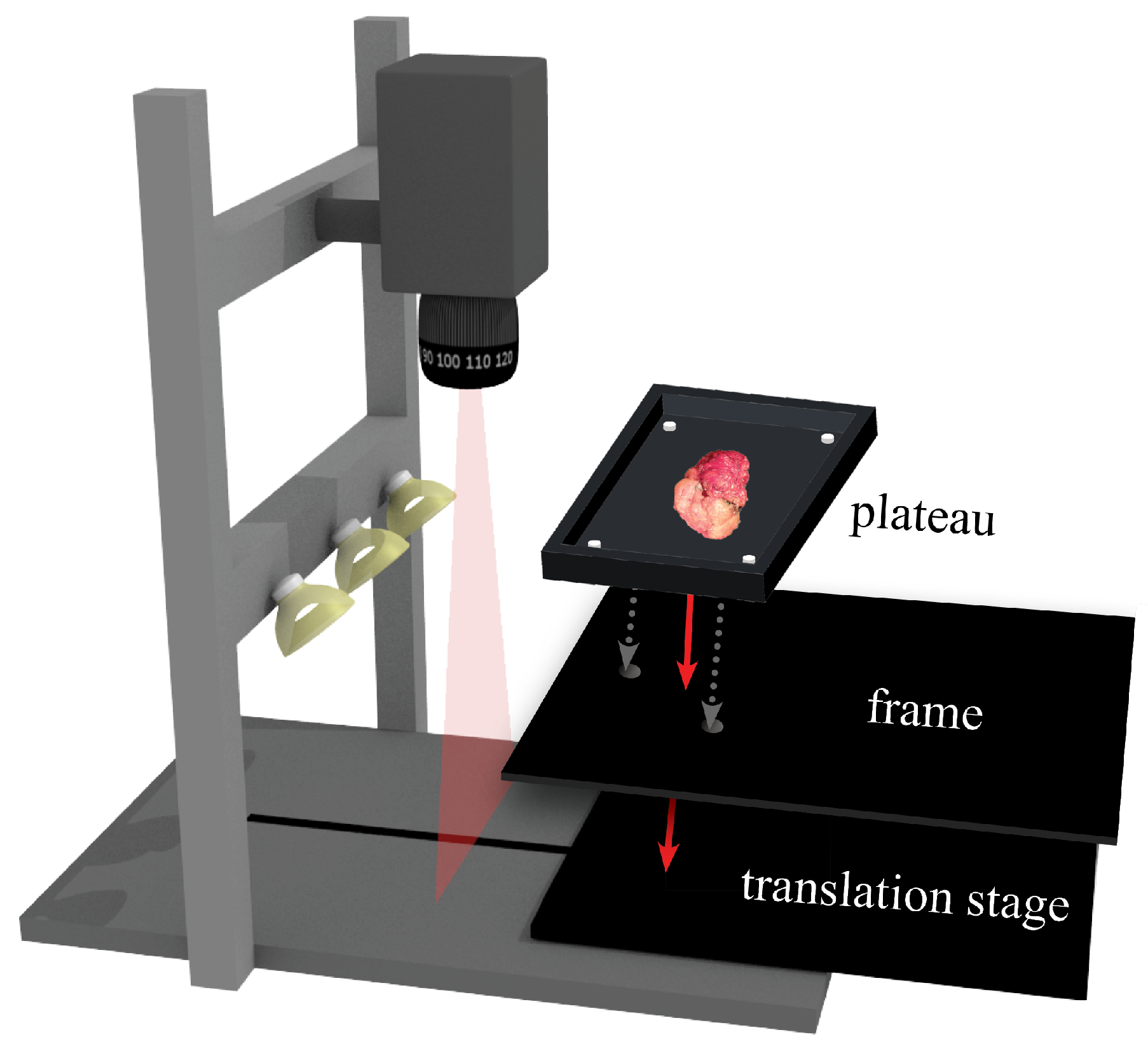 Applsci 11 08881 g001