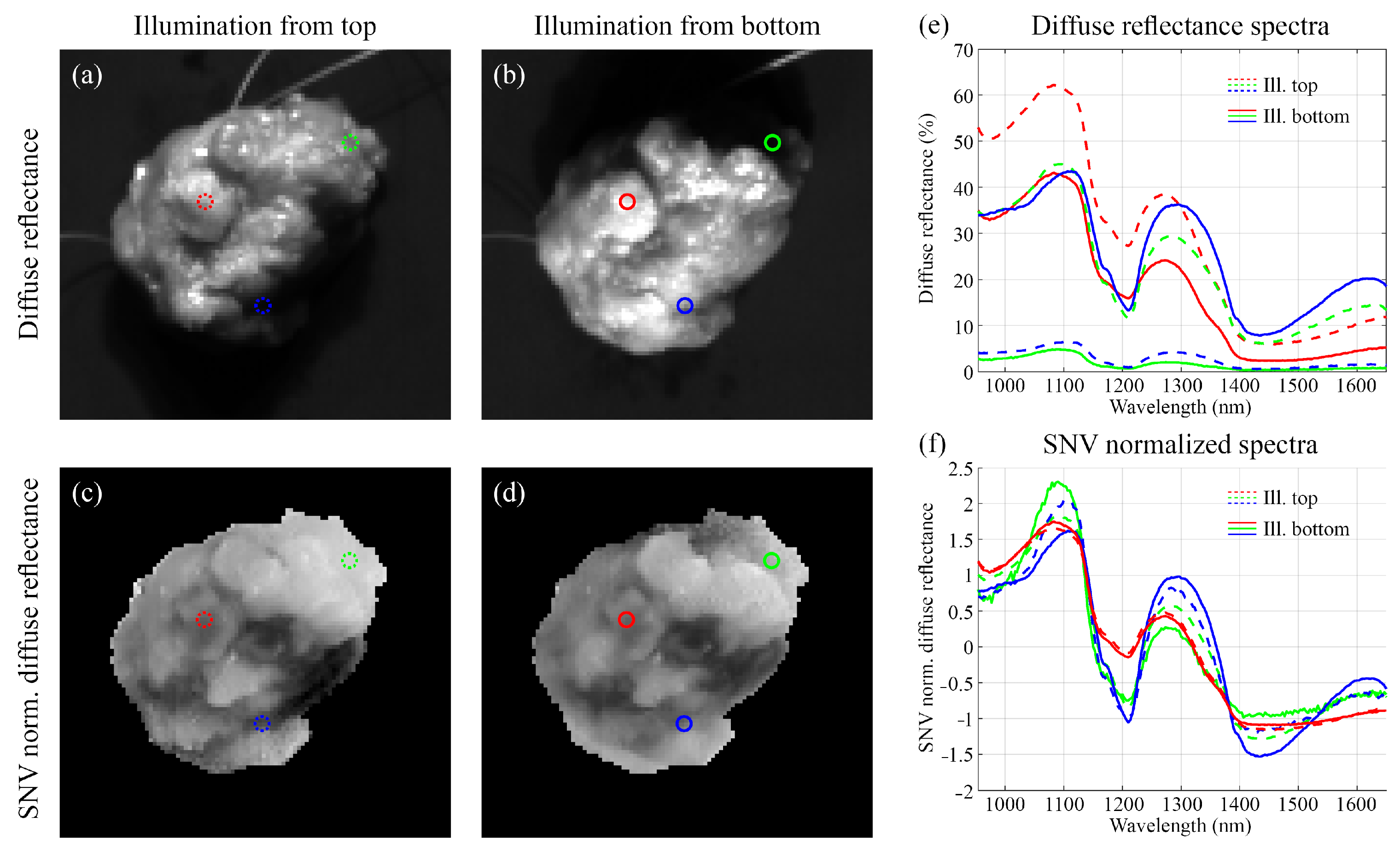Applsci 11 08881 g005