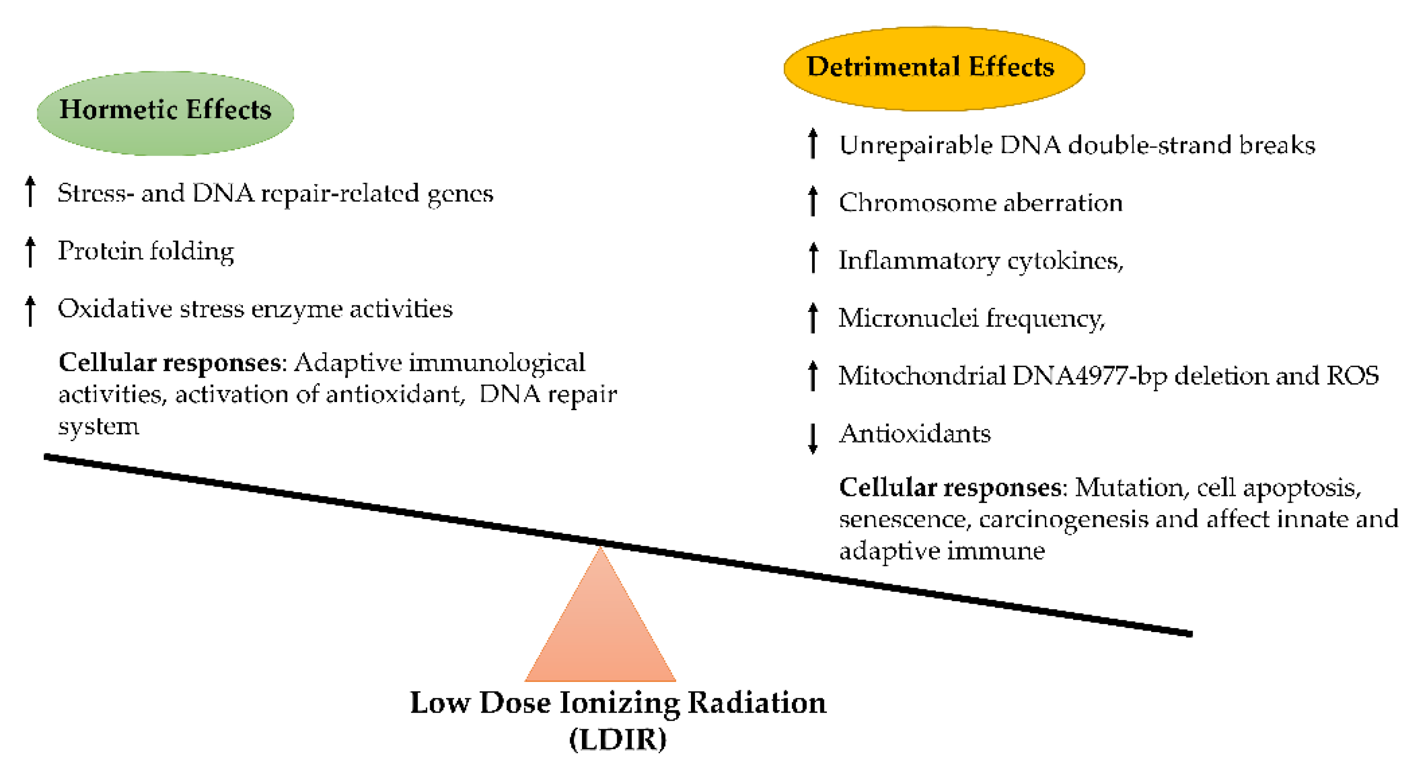Applsci 11 08909 g002 Applsci 11 08909 g002