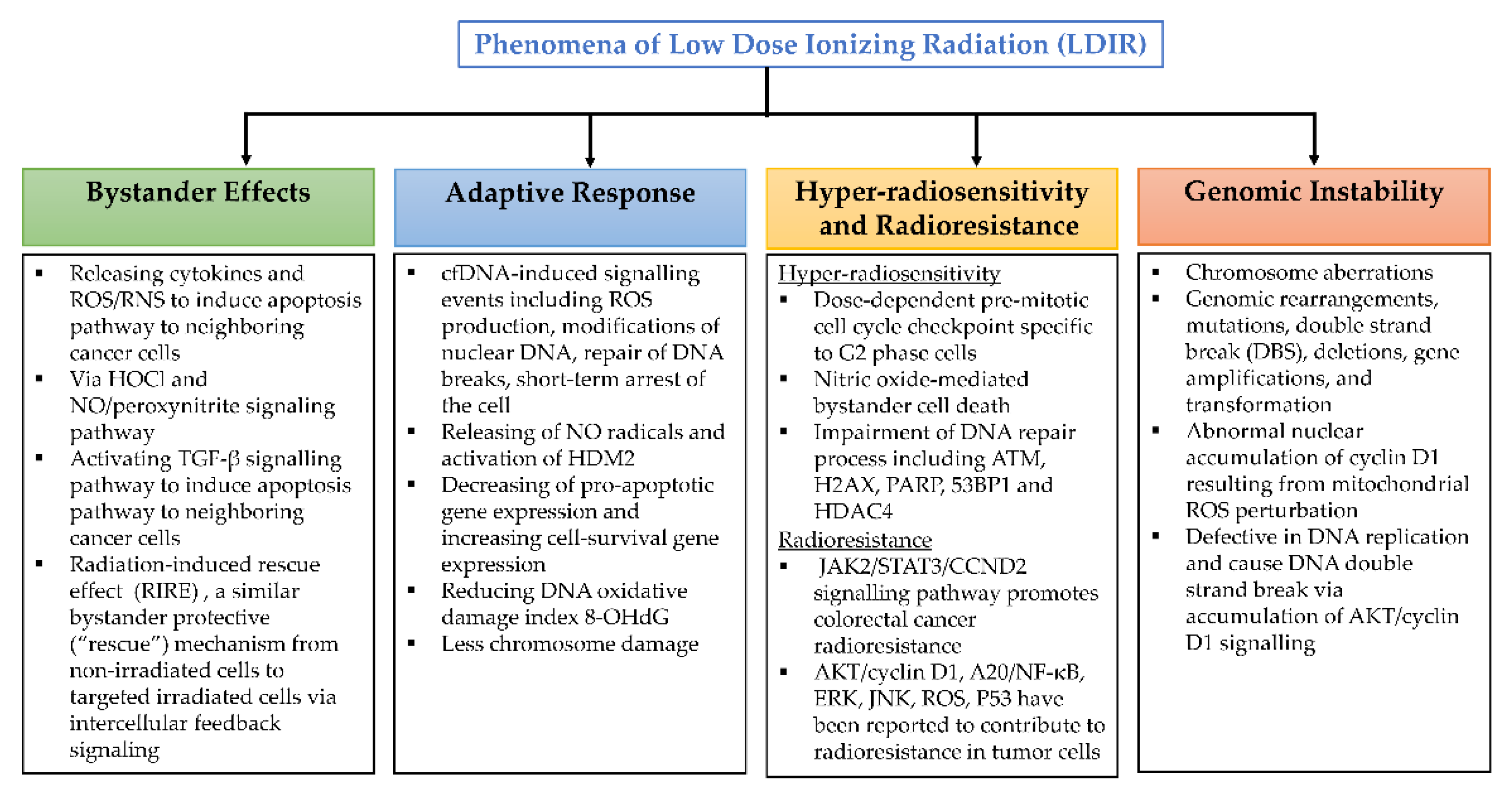 Index  Health Effects of Exposure to Low Levels of Ionizing