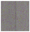 Applsci 11 08945 i003