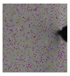 Applsci 11 08945 i015