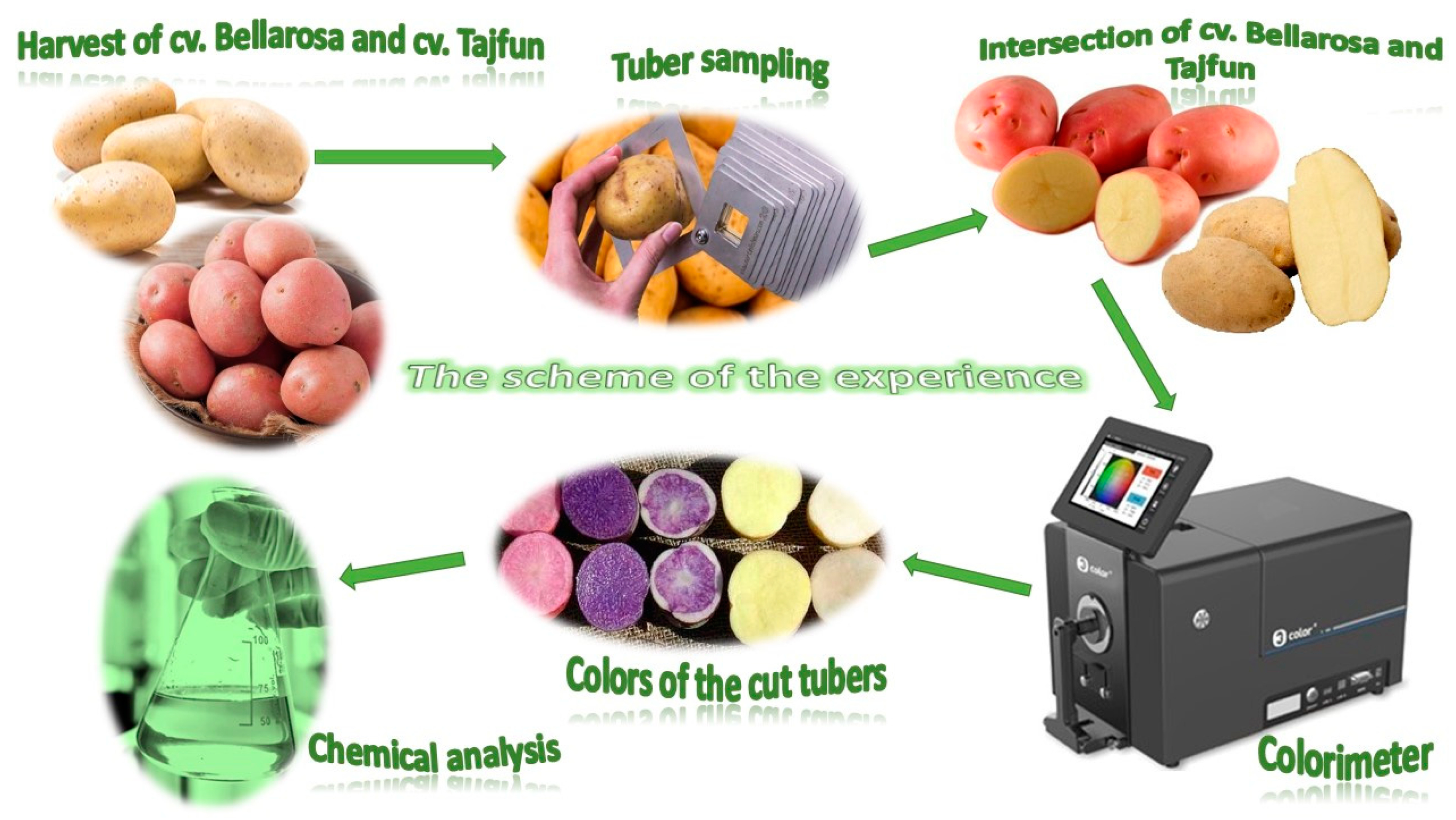 Applsci 11 08959 g002