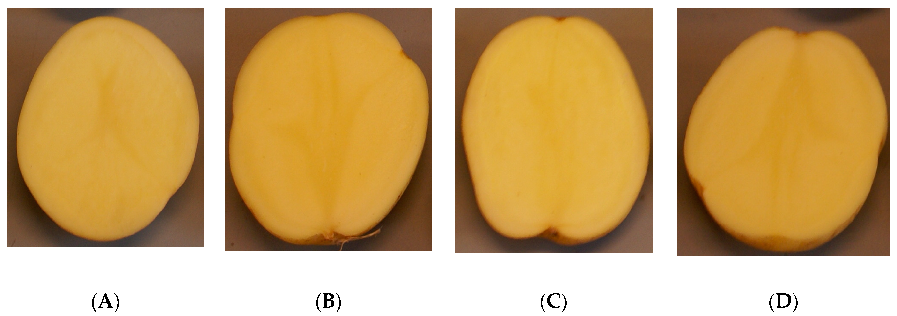 Applsci 11 08959 g005