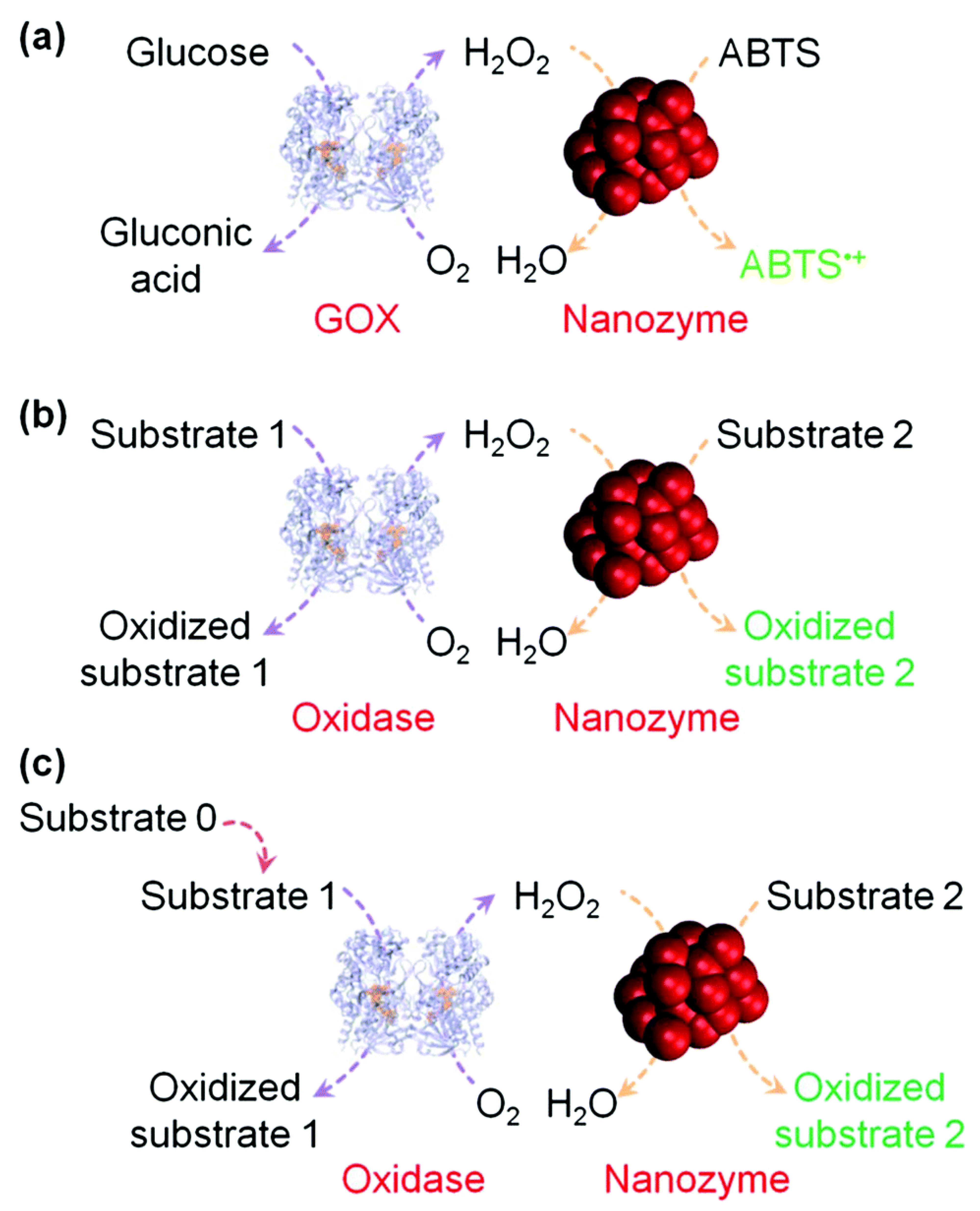 Applsci 11 09019 g005