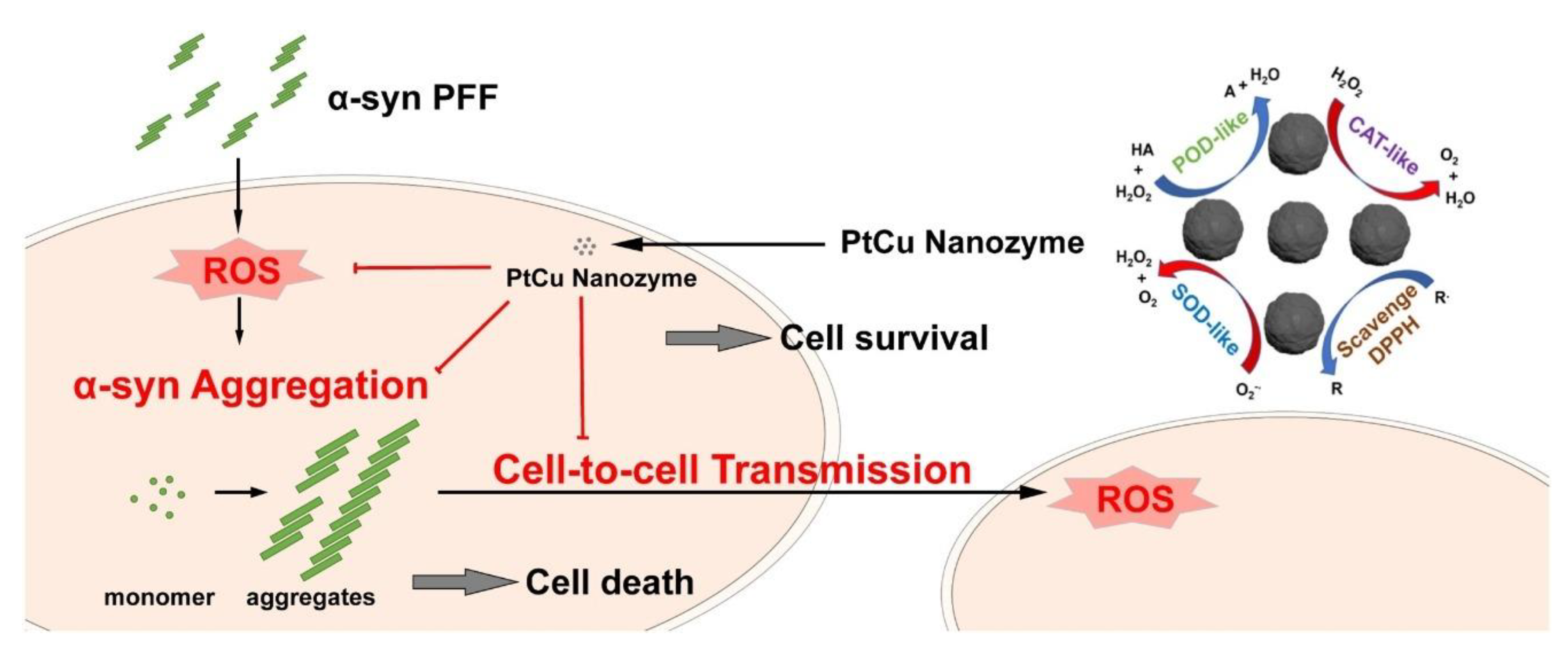 Applsci 11 09019 g006