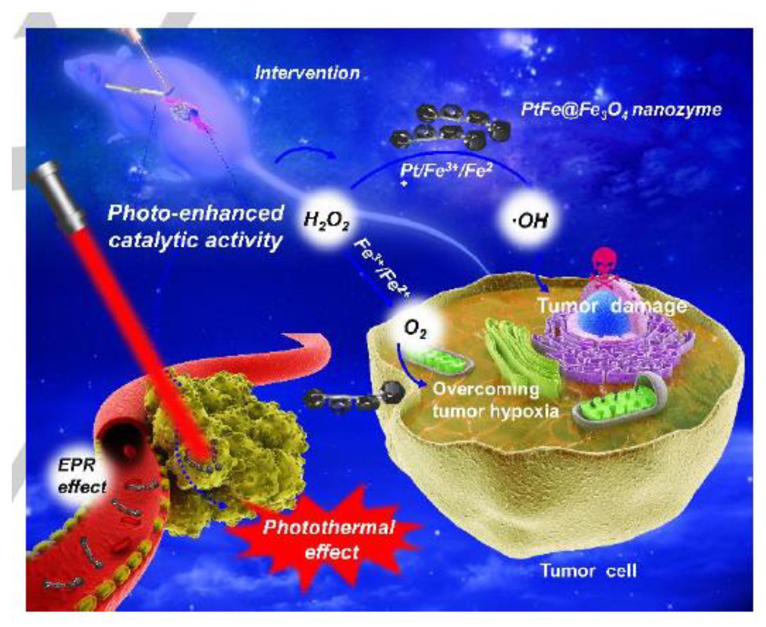 Applsci 11 09019 g008