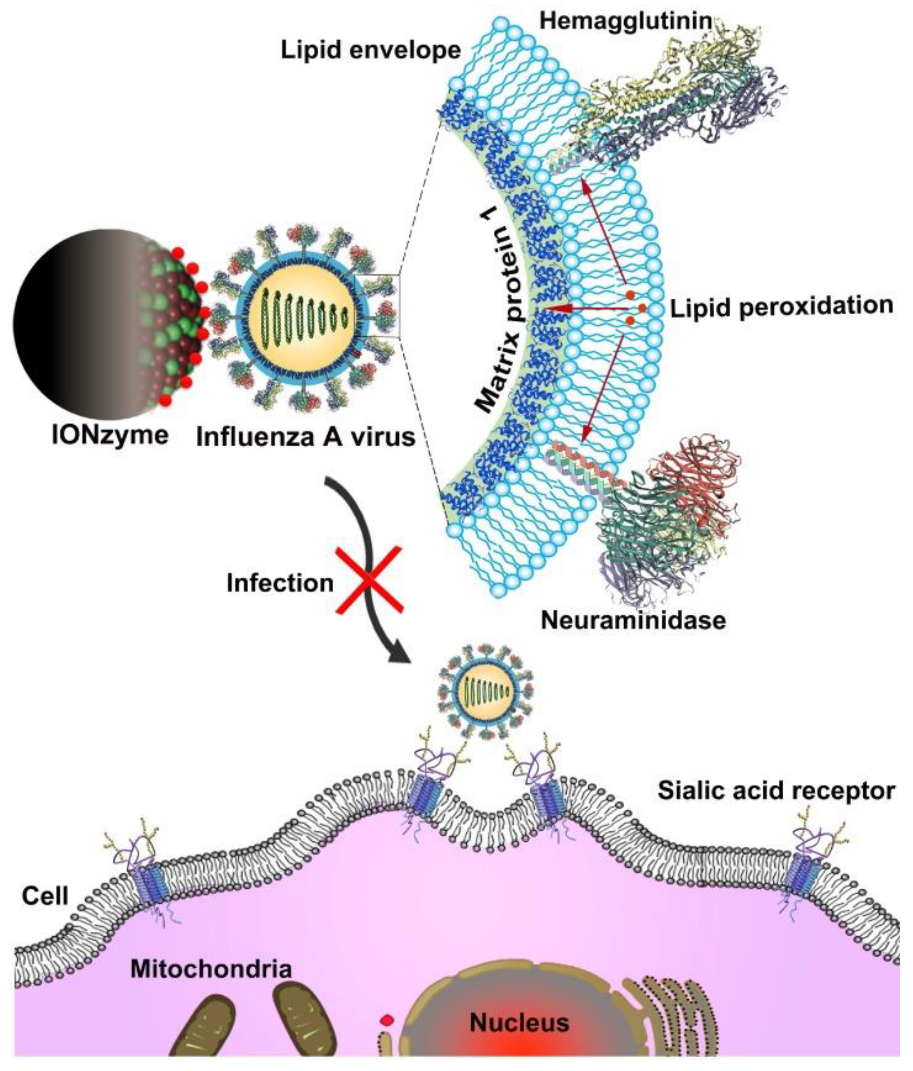 Applsci 11 09019 g012