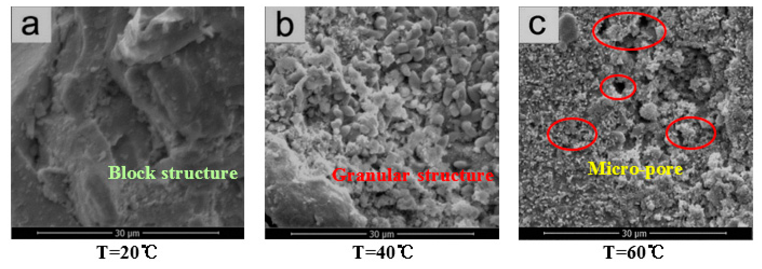 Applsci 11 09043 g008