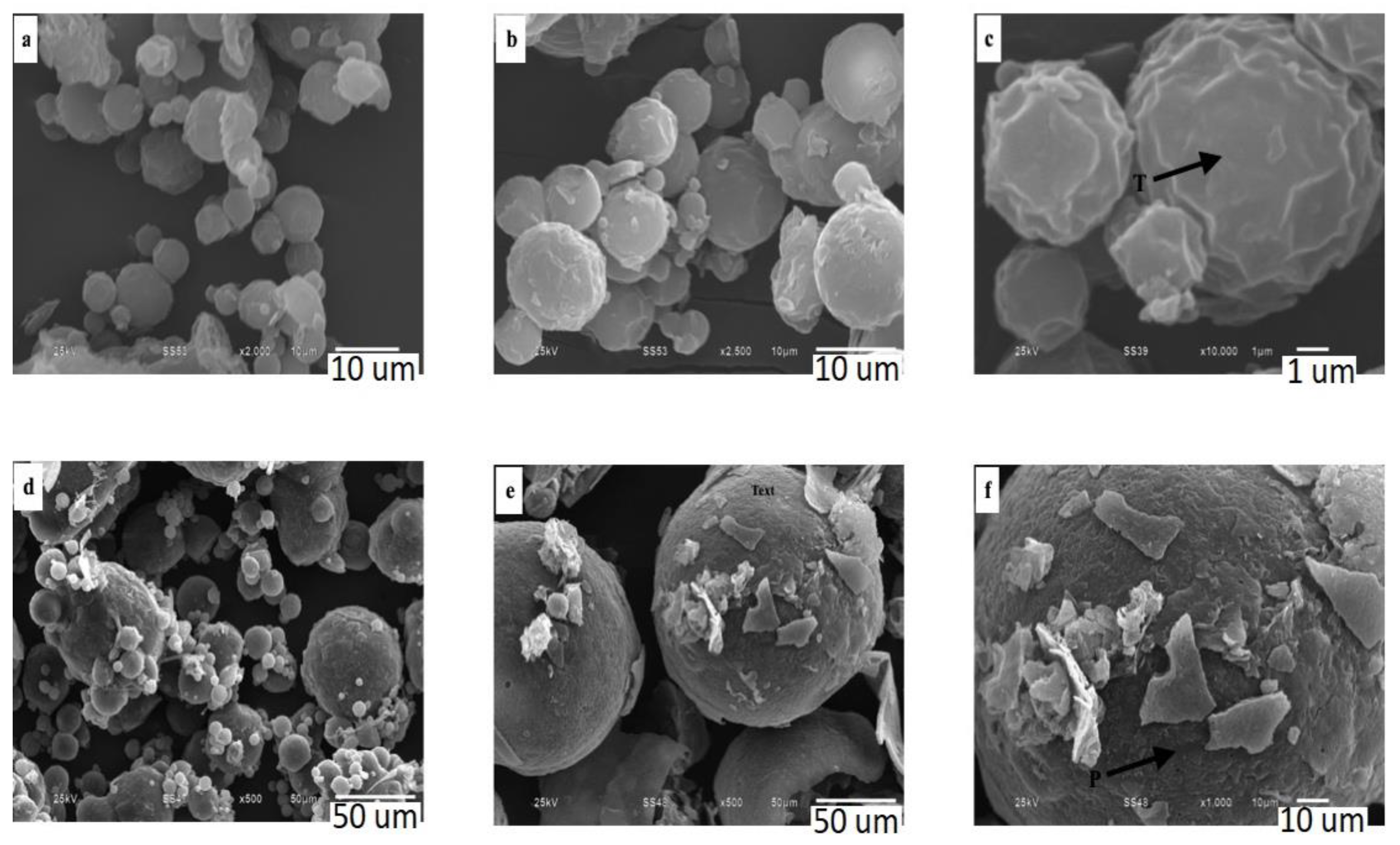 Applsci 11 09066 g003 Applsci 11 09066 g003