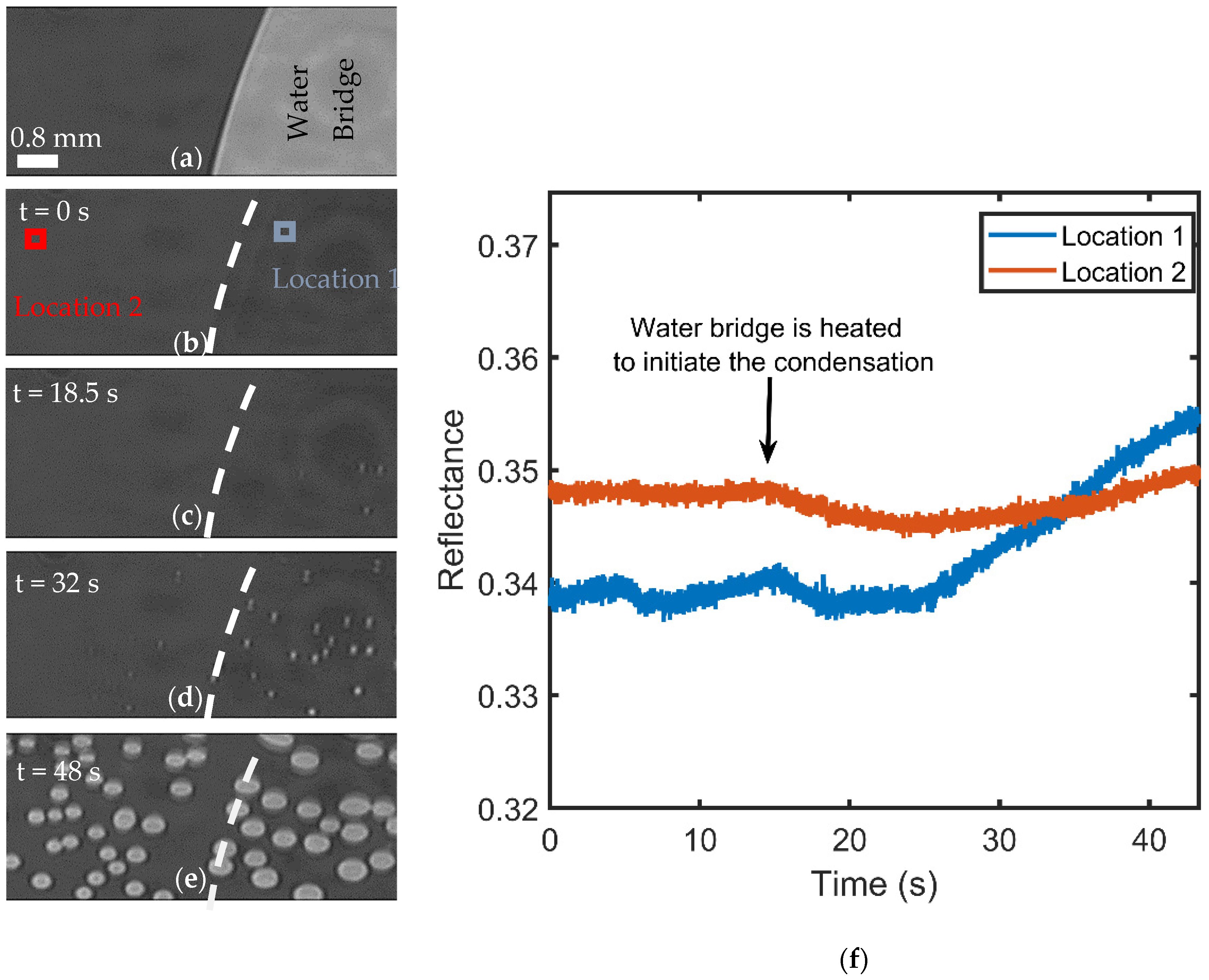 Applsci 11 09184 g004