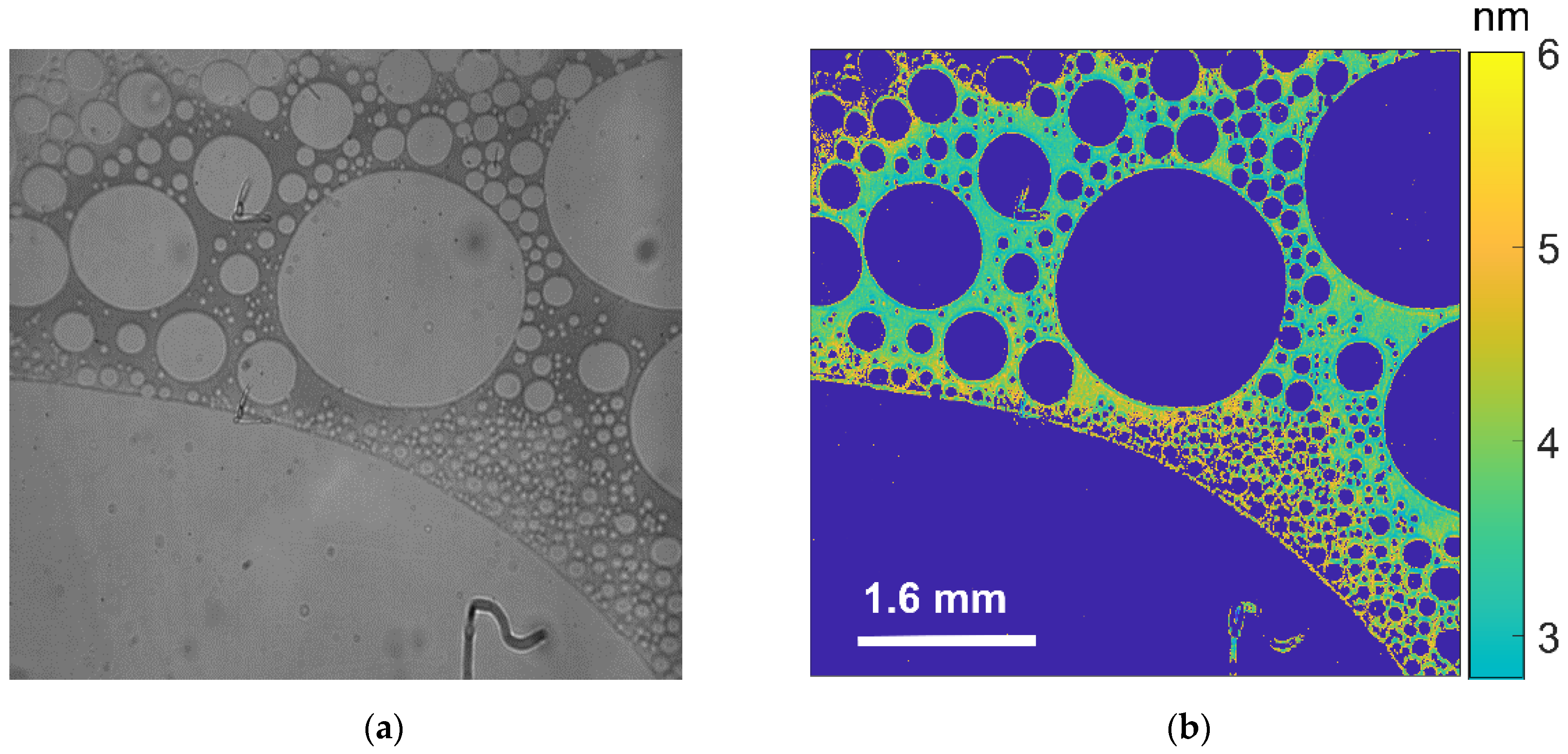 Applsci 11 09184 g006