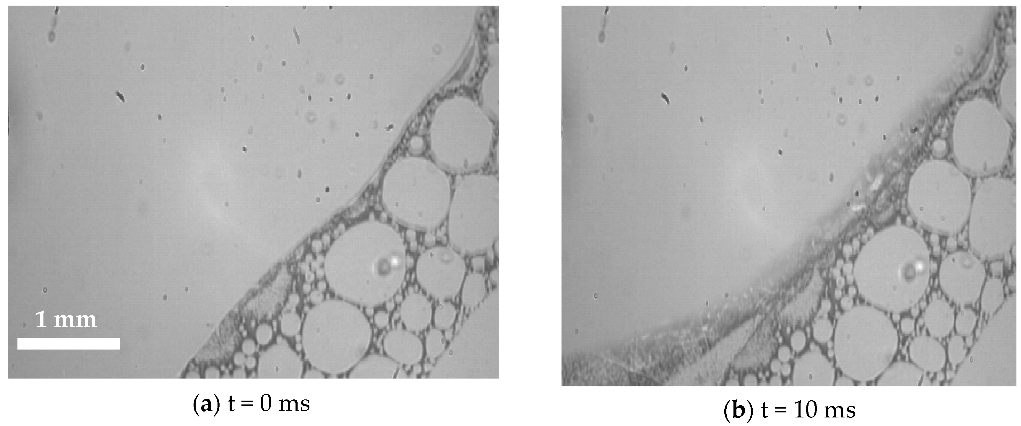 Applsci 11 09184 g008a