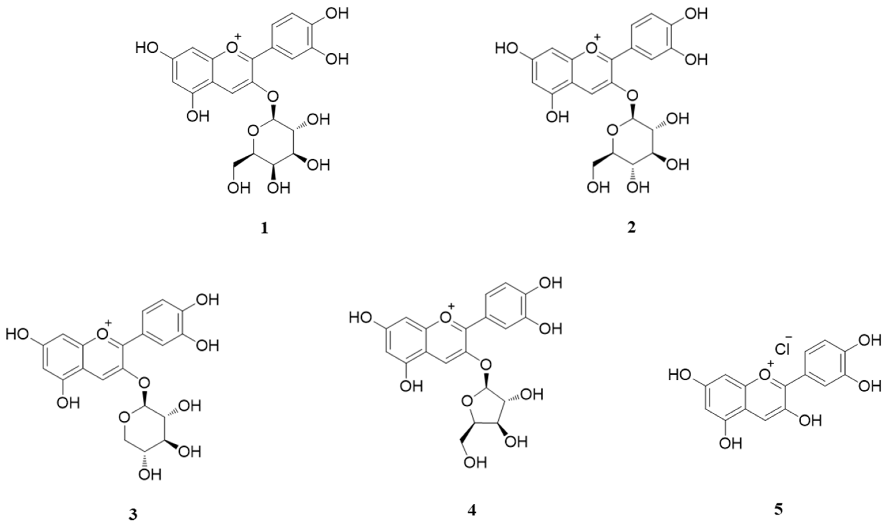 Applsci 11 09224 g002