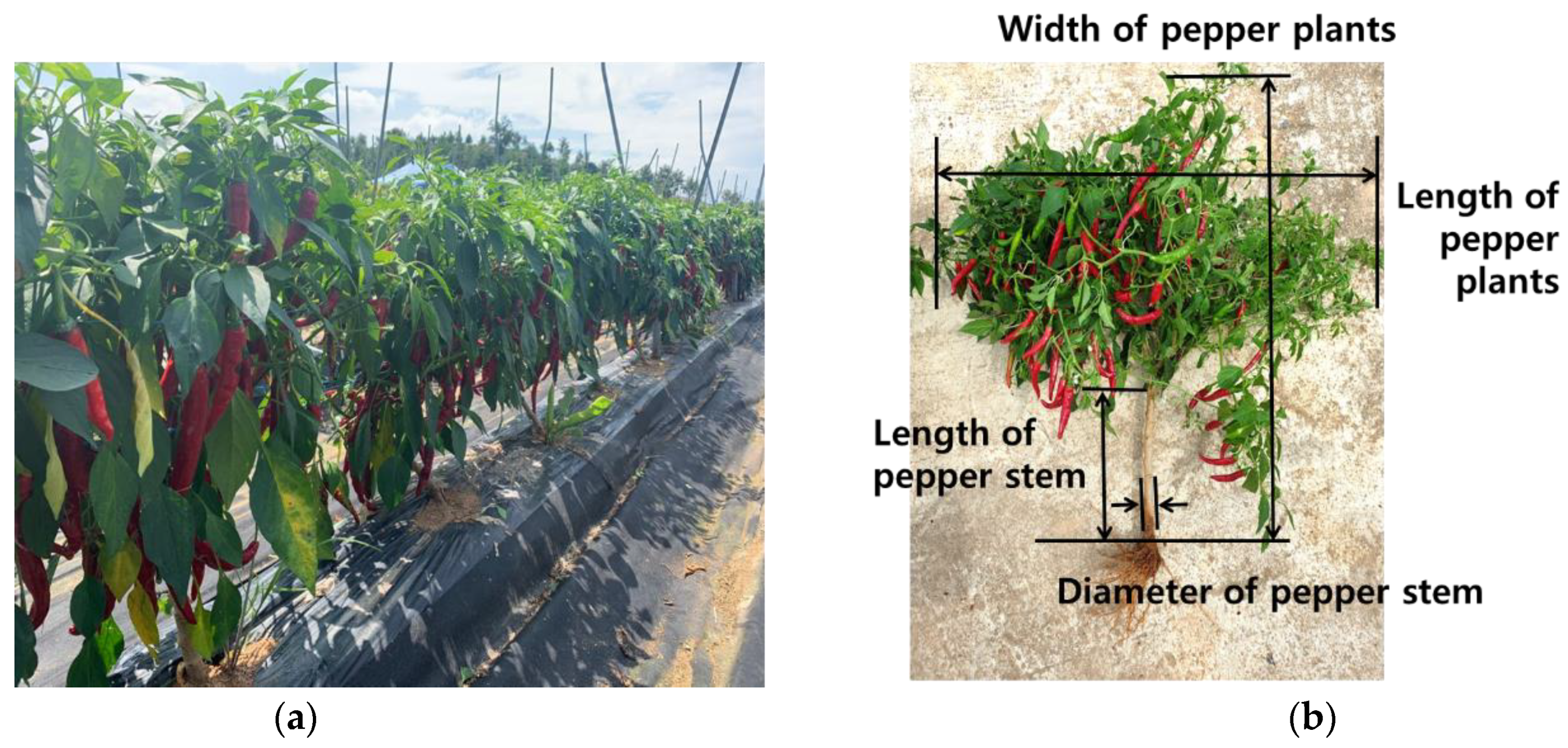 Applsci 11 09225 g004