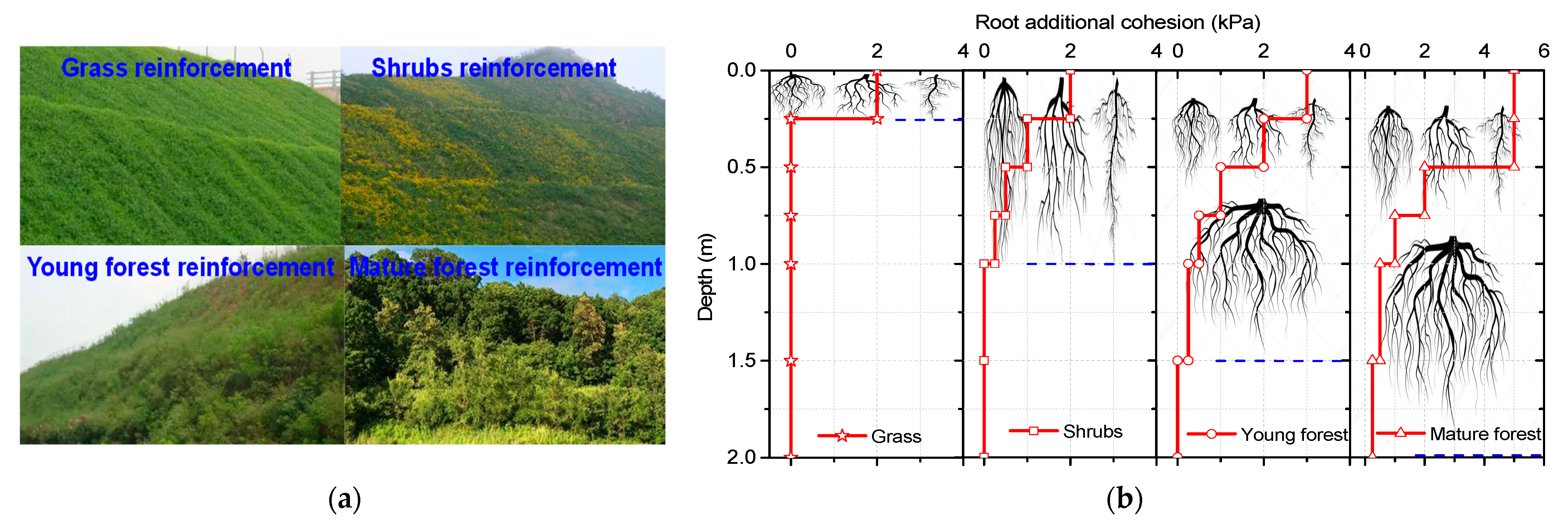 Applsci 11 09228 g004