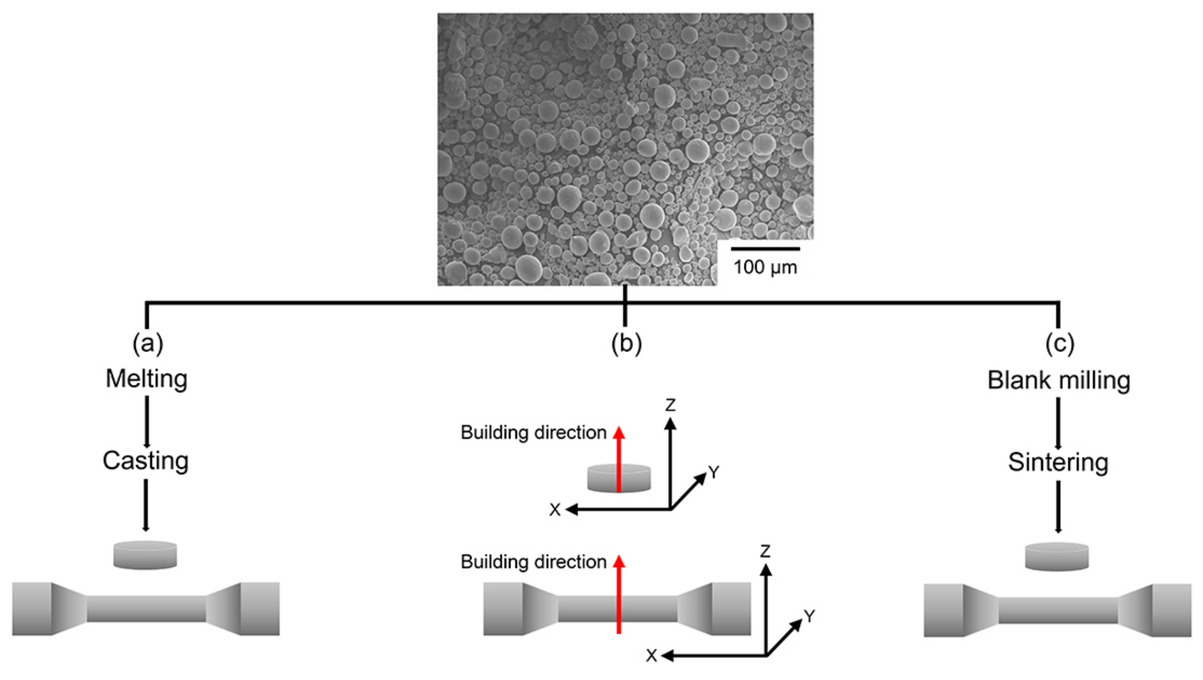 Applsci 11 09308 g001