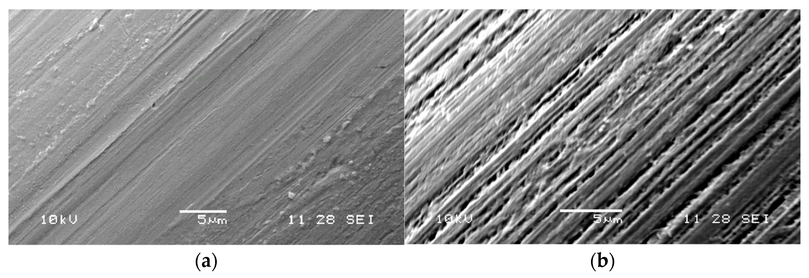 Applsci 11 09377 g004