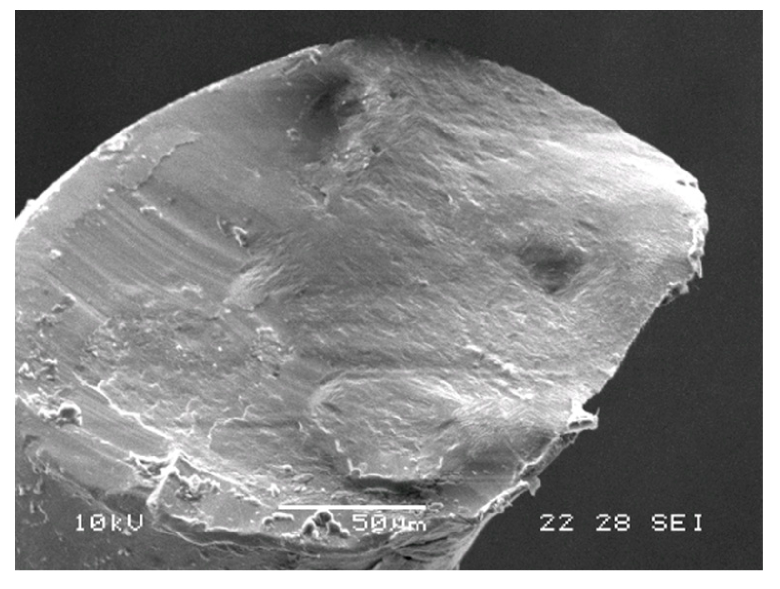 Applsci 11 09377 g005