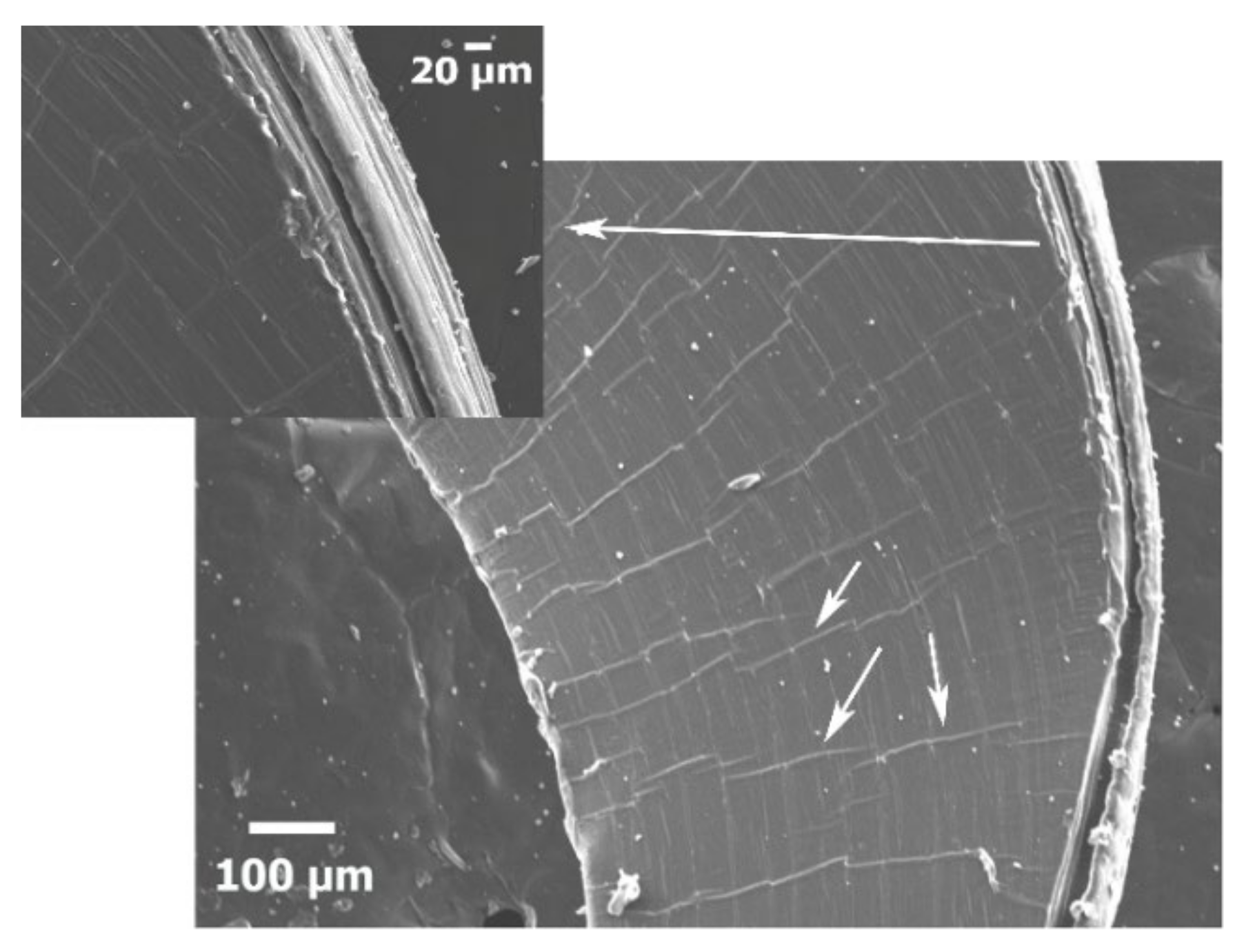 Applsci 11 09420 g003