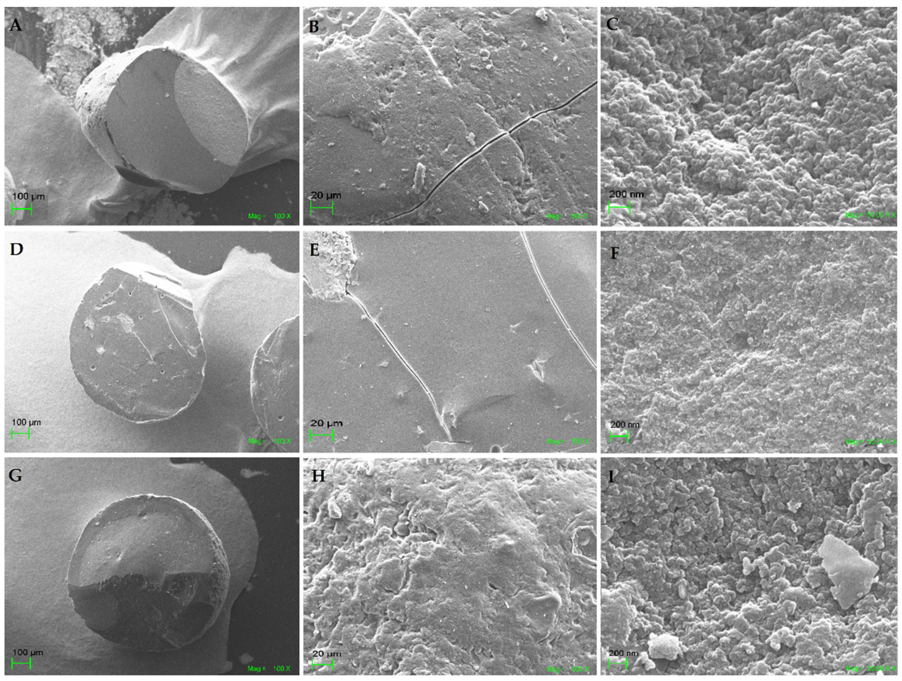 Applsci 11 09439 g001