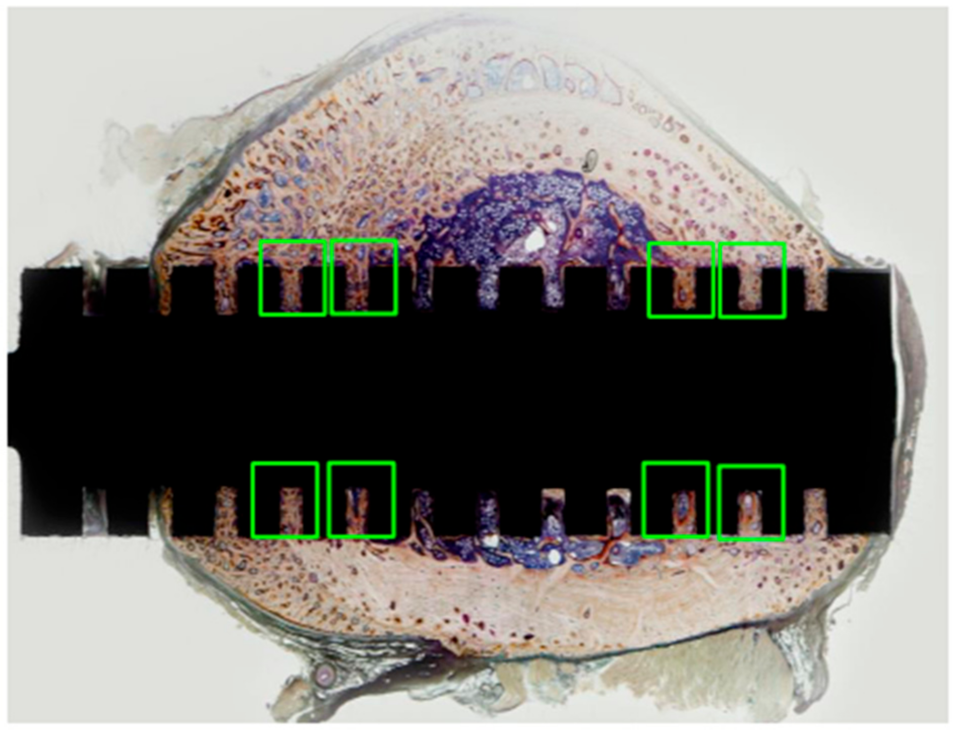 Applsci 11 09451 g004