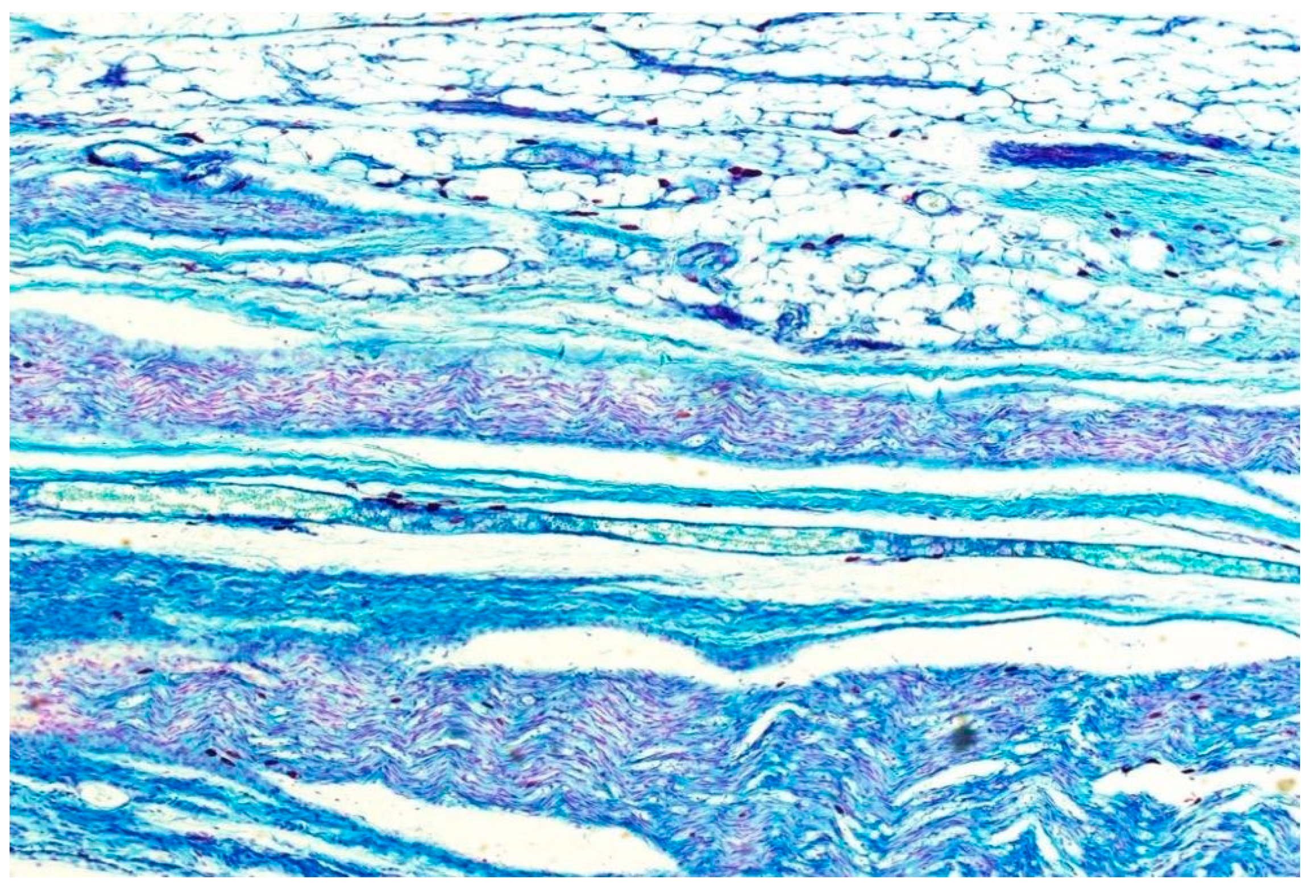 Applsci 11 09465 g003 Applsci 11 09465 g003