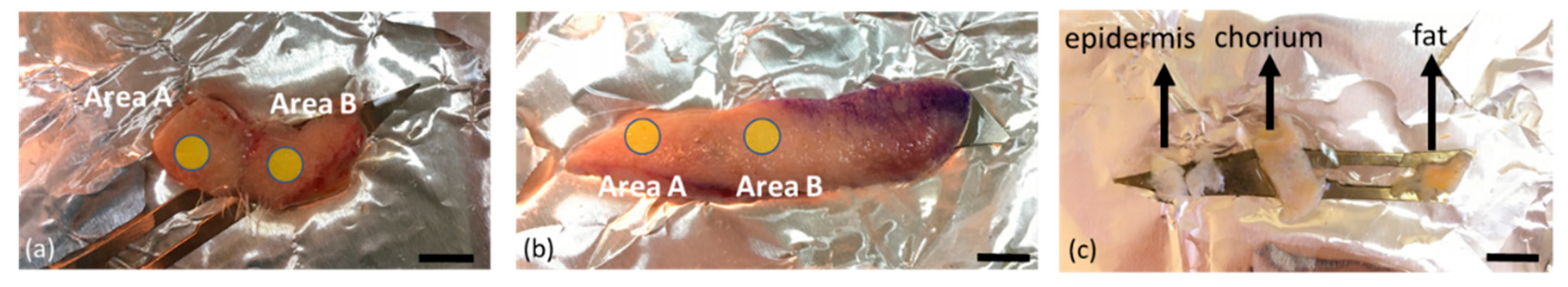 Applsci 11 09498 g001