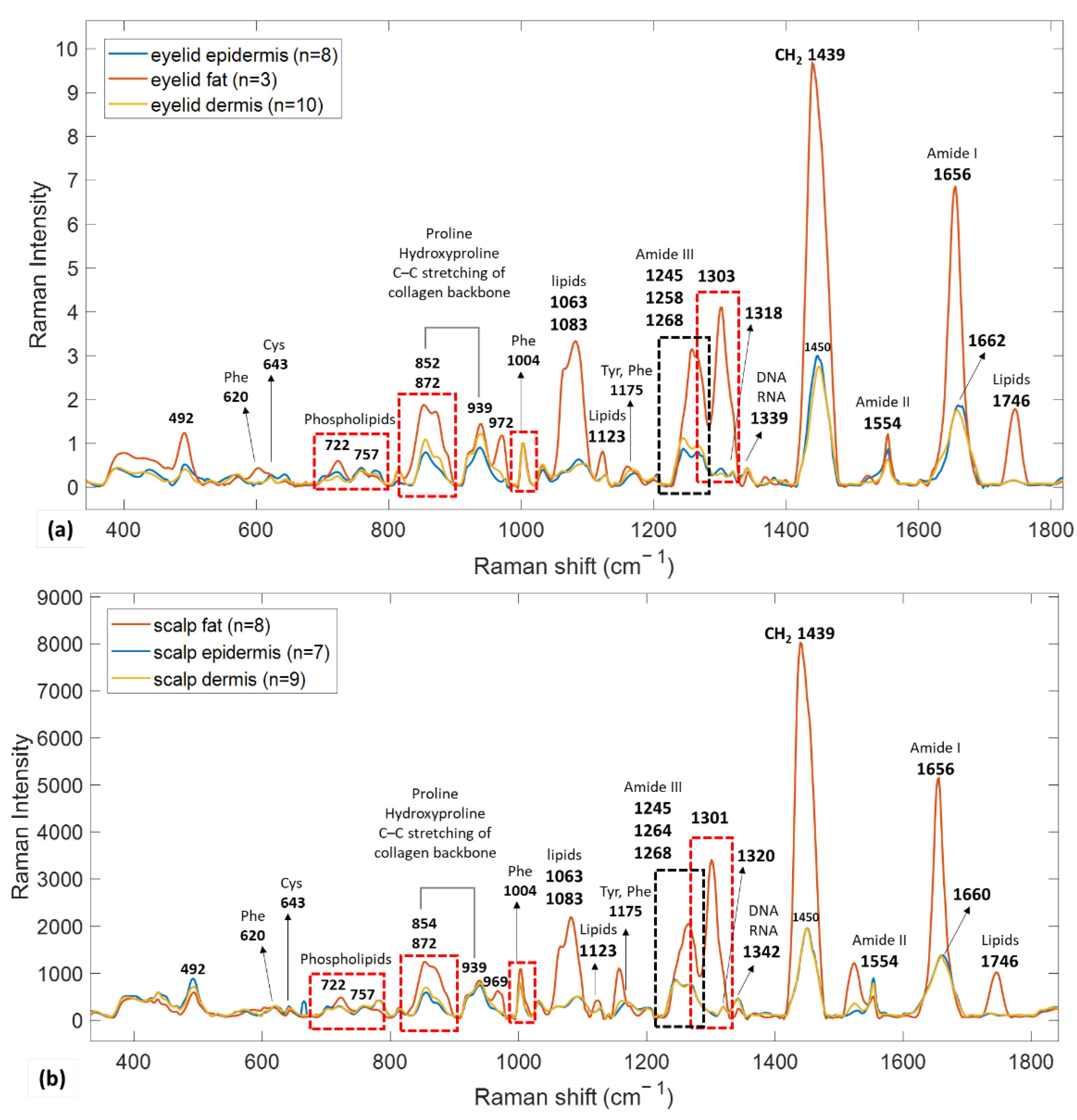 Applsci 11 09498 g004