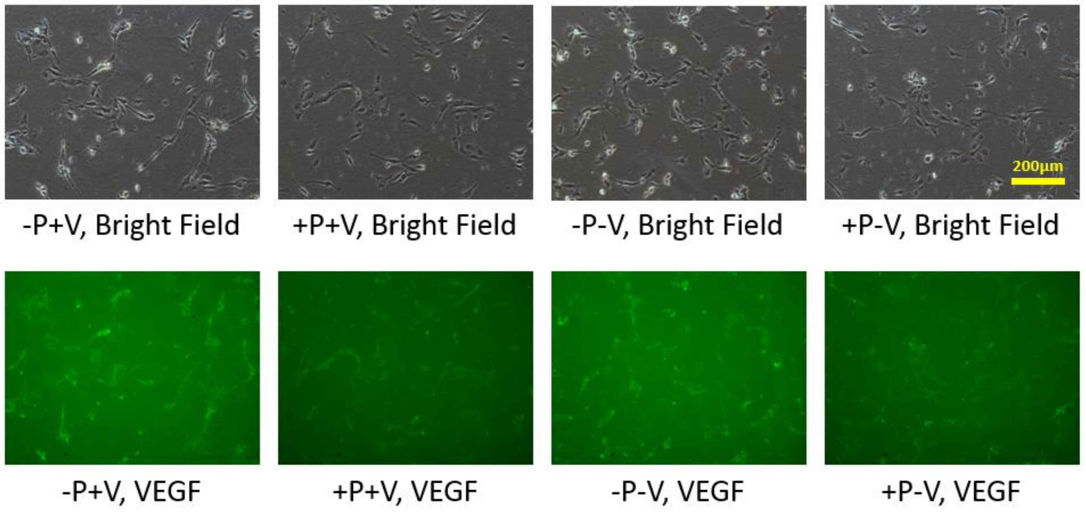 Applsci 11 09501 g003